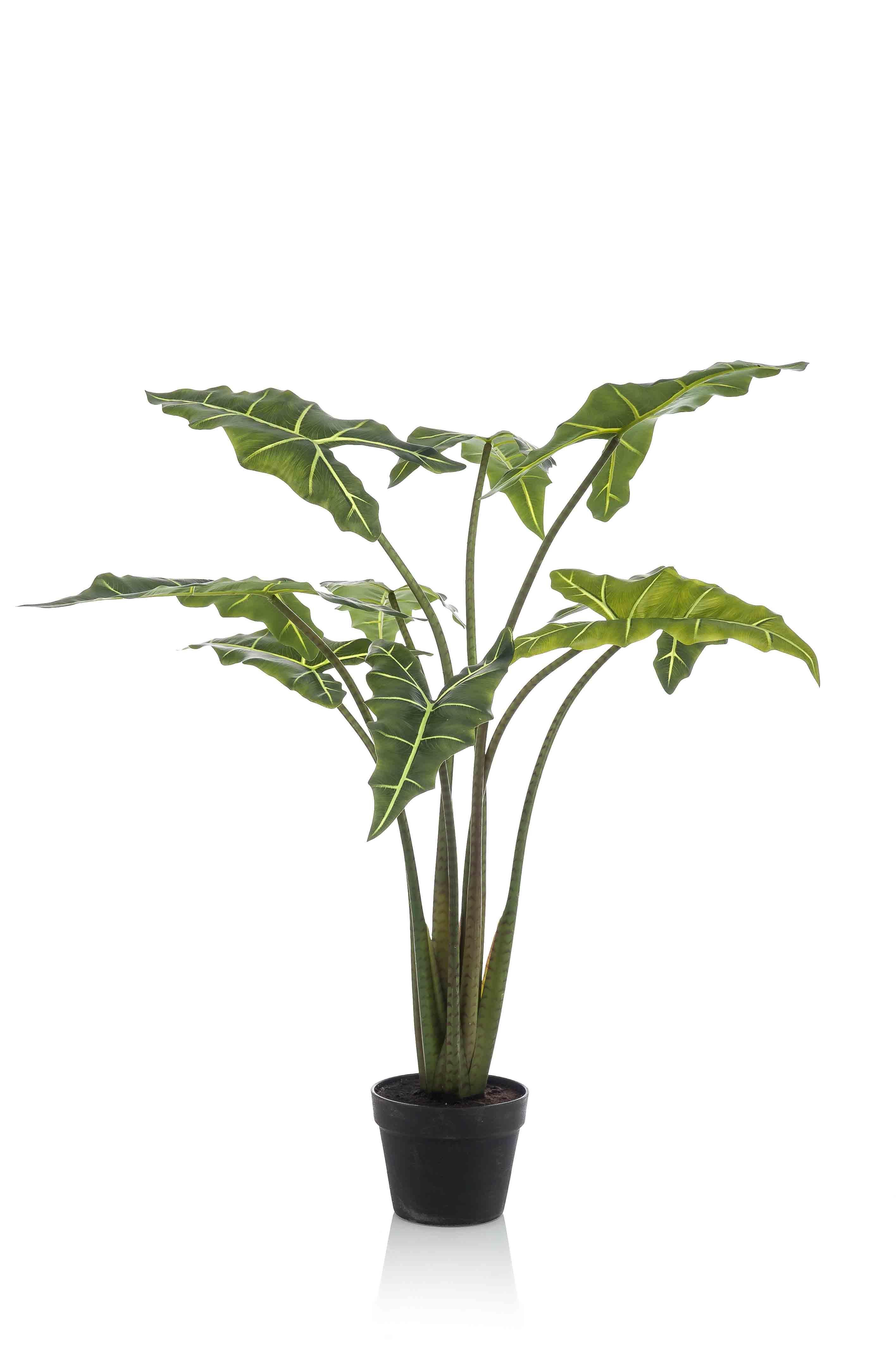 Kunstpflanze Alocasia Frydek Olifantsoor