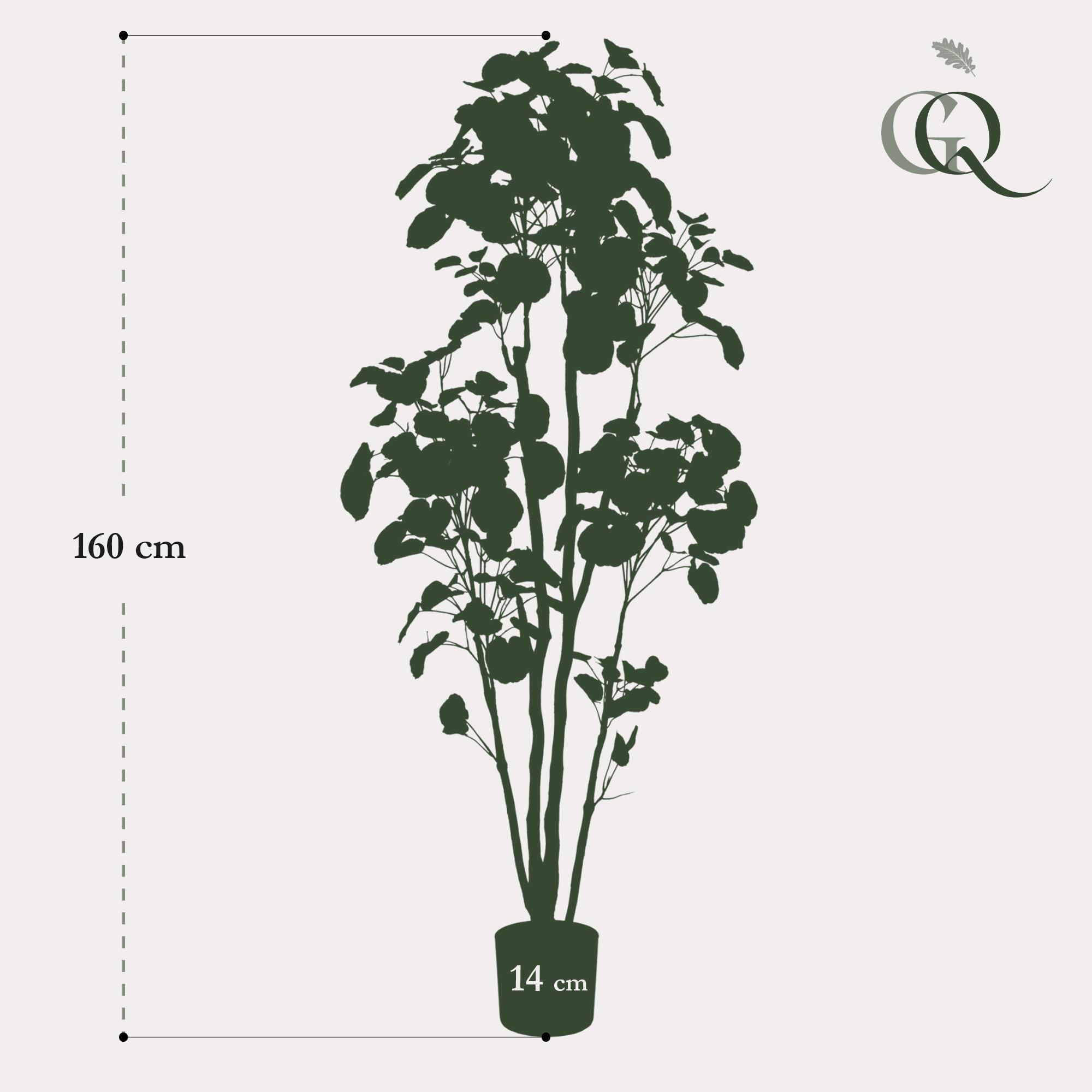 Kunstpflanze Polyscias Aralia 160 cm