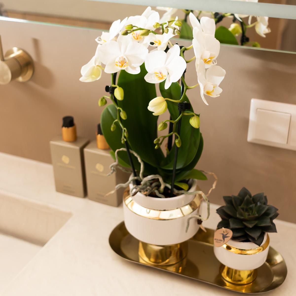 Le Chic weißer Keramik Blumentopf mit goldenen Details