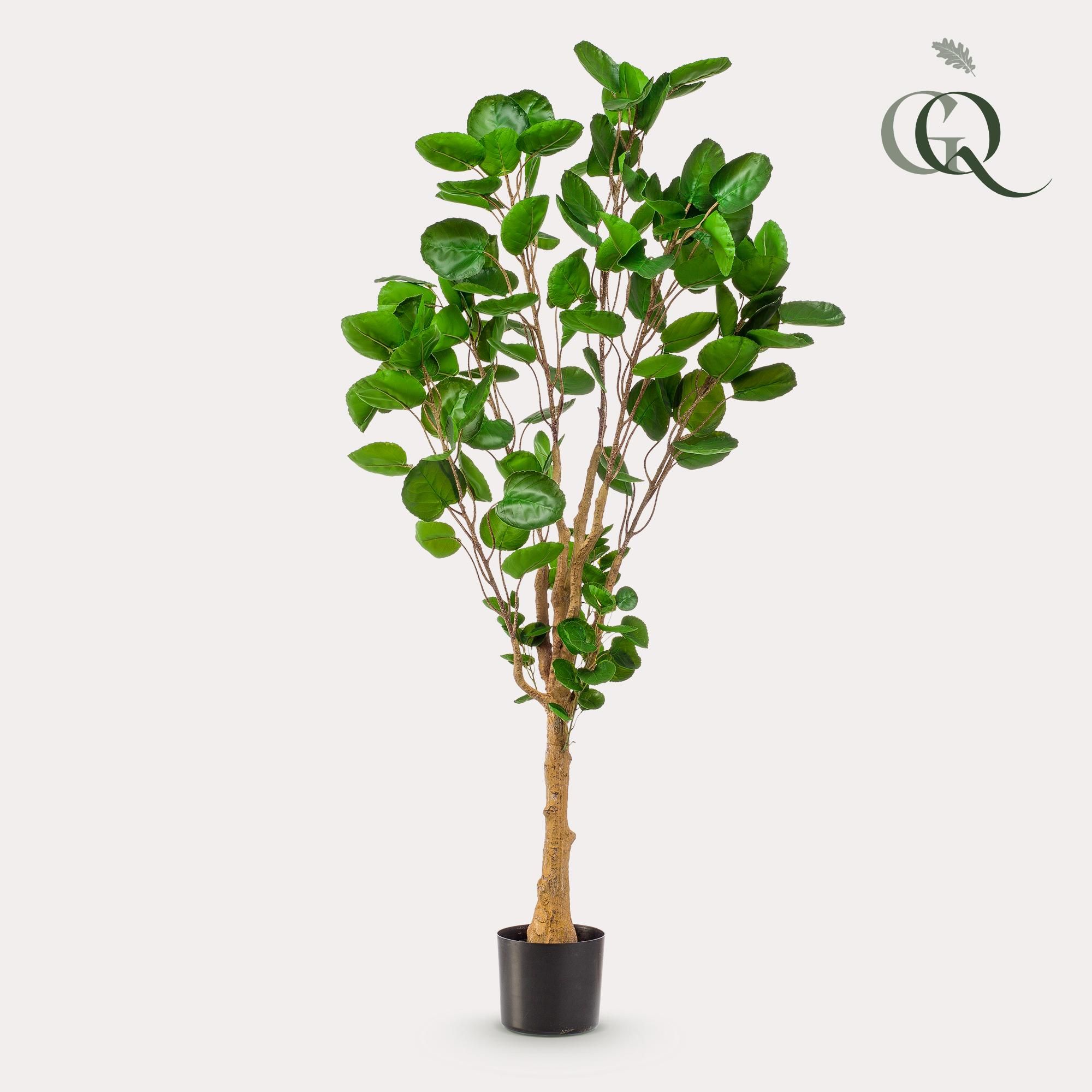 Kunstpflanze Polyscias Aralia 150 cm