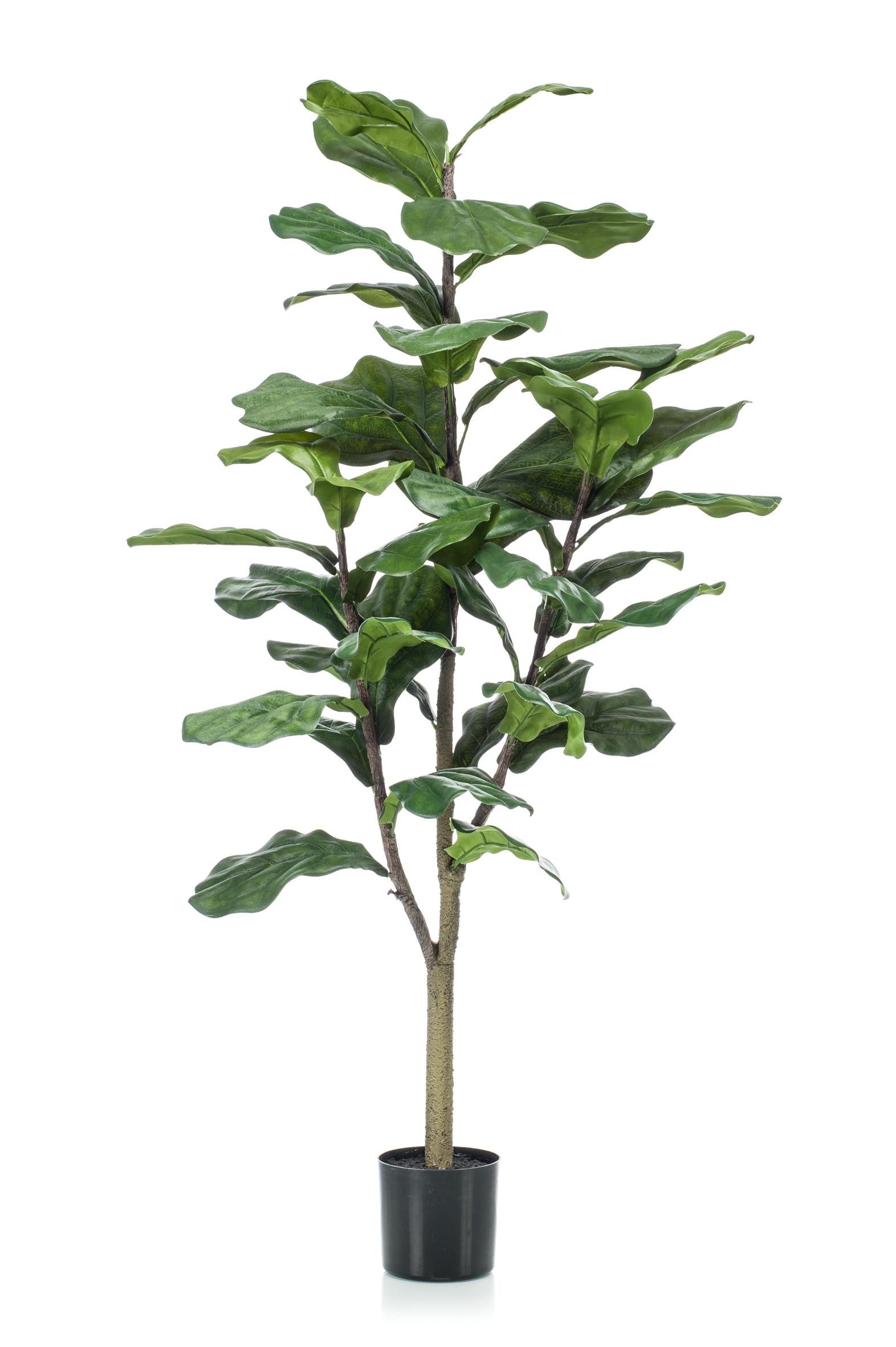 Kunstpflanze Ficus Lyrata – elegante Tabakspflanze