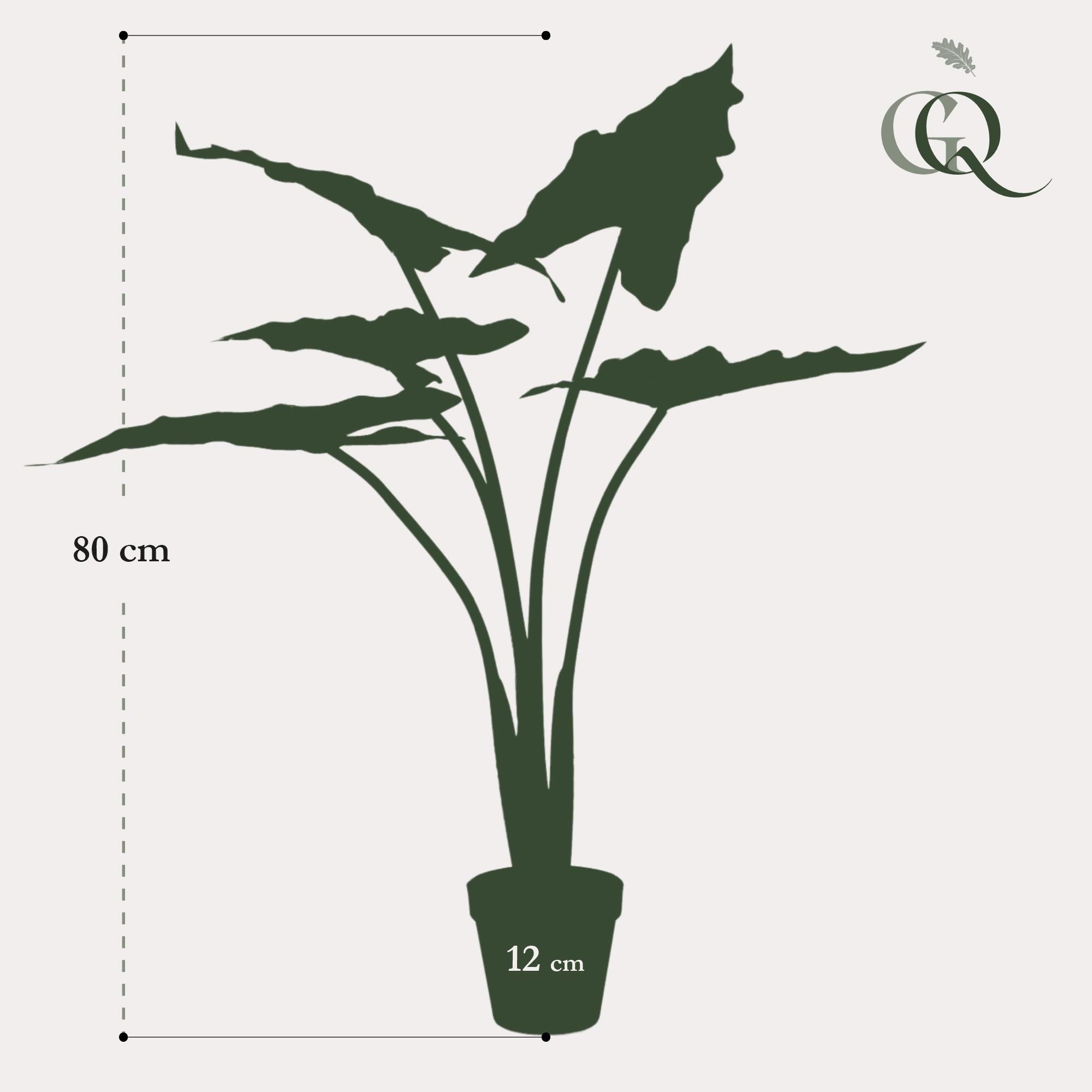 Kunstpflanze Alocasia Frydek 80 cm