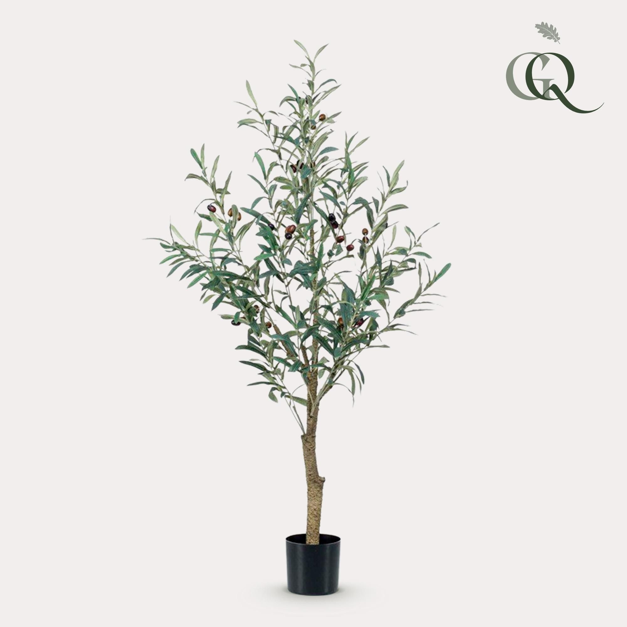 Kunst Olivenbaum Olea europaea