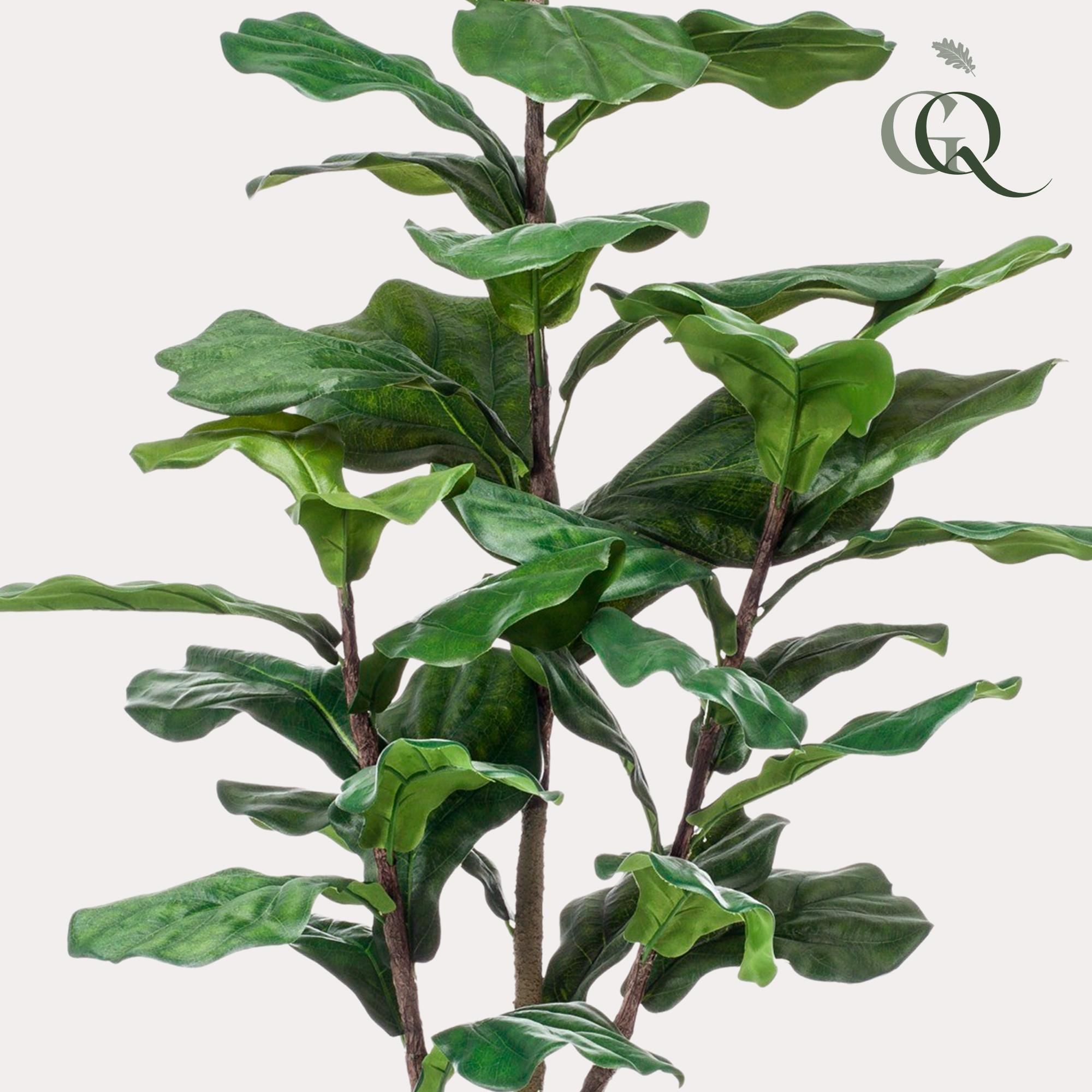 Kunstpflanze Ficus Lyrata – elegante Tabakspflanze