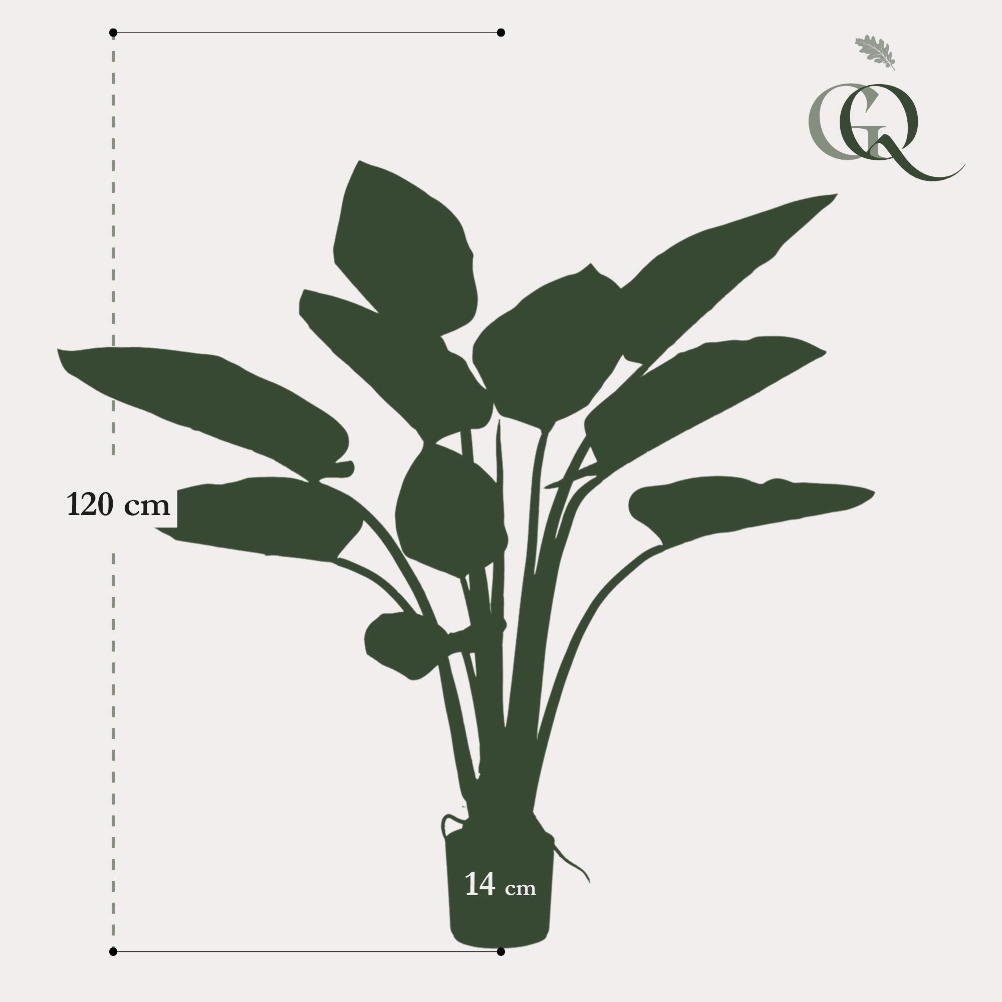 Künstlicher Philodendron Zimmerpflanze