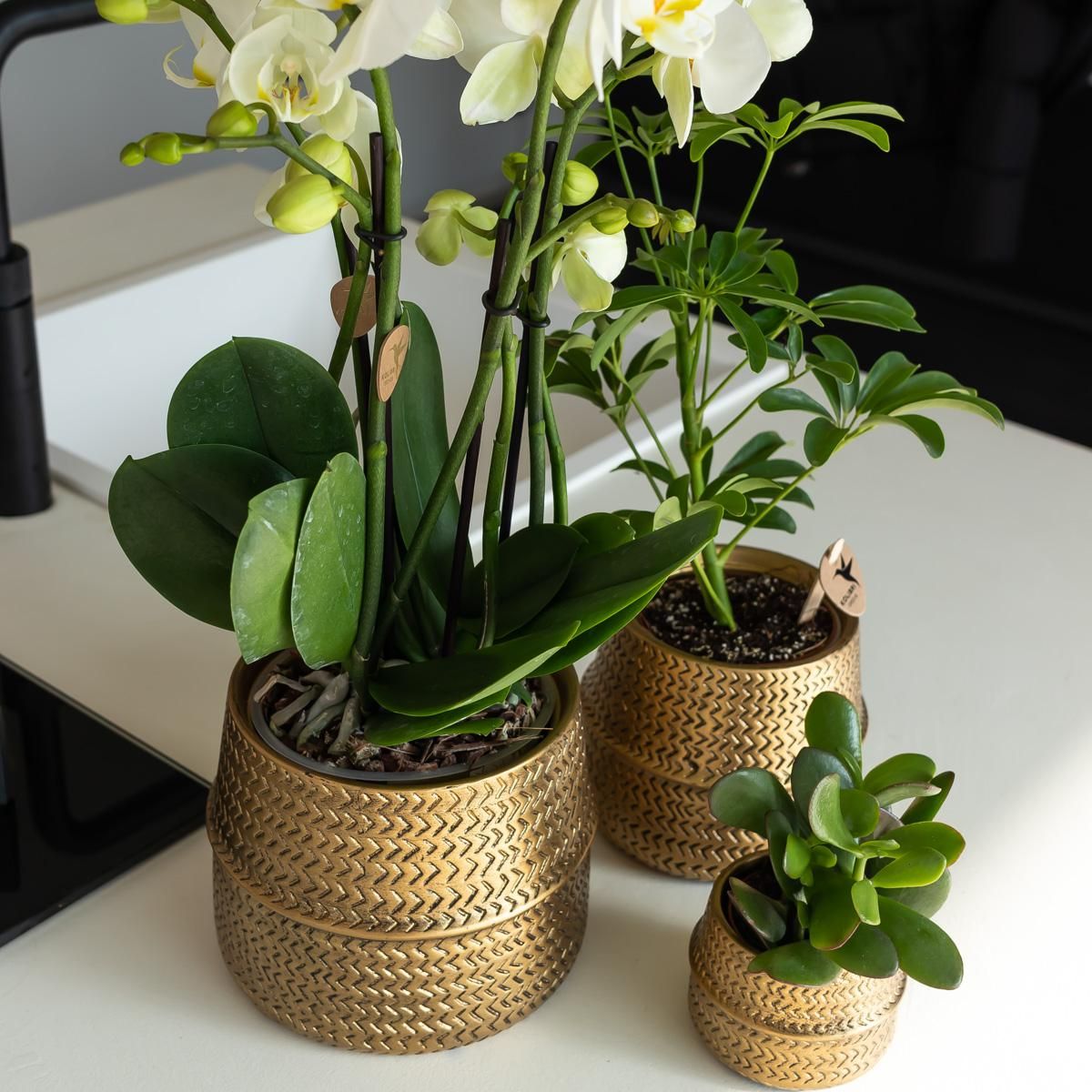 Groove Blumentopf aus Keramik in Gold