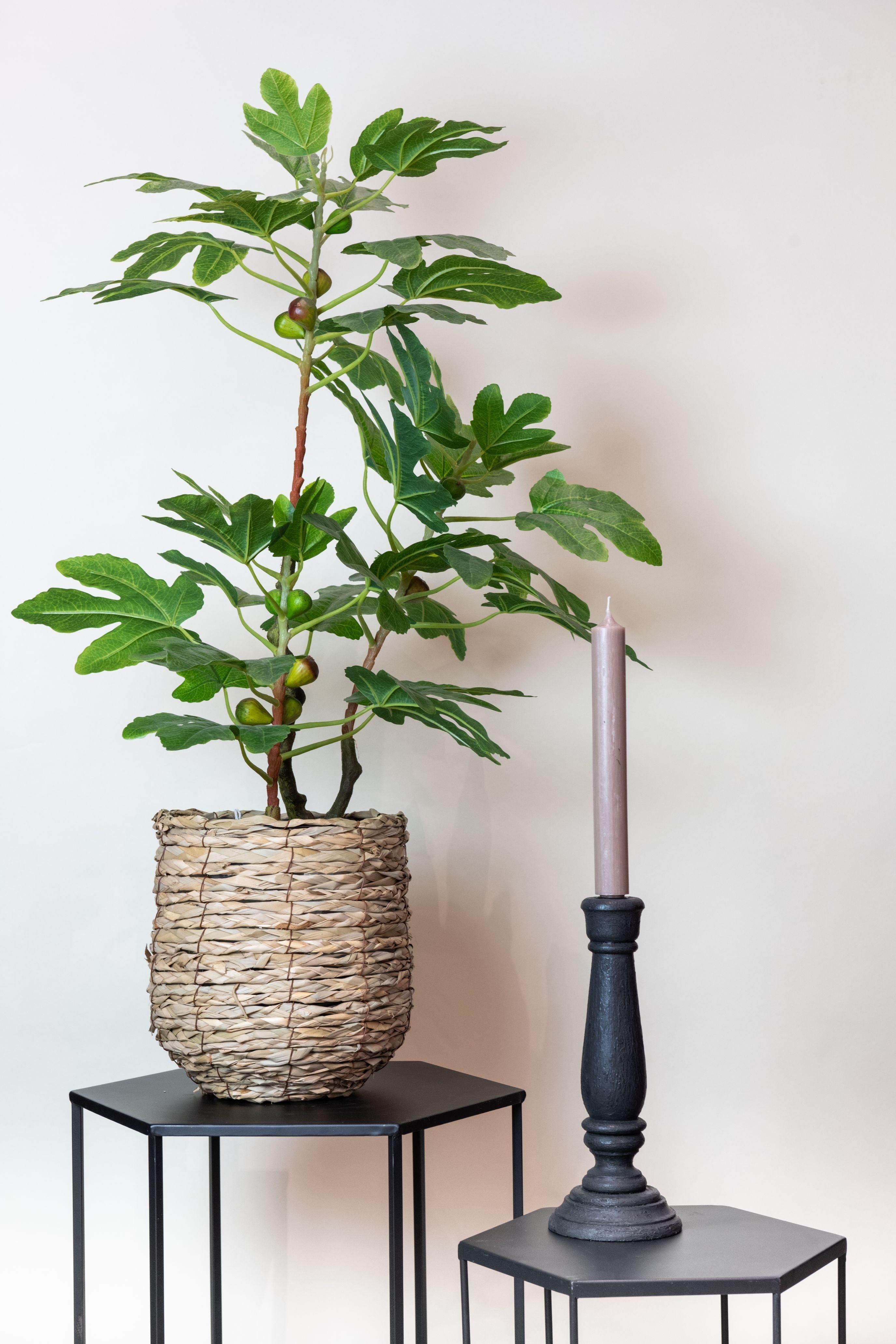 Kunstfeigenbaum Ficus Carica - Mediterrane Deko Pflanze