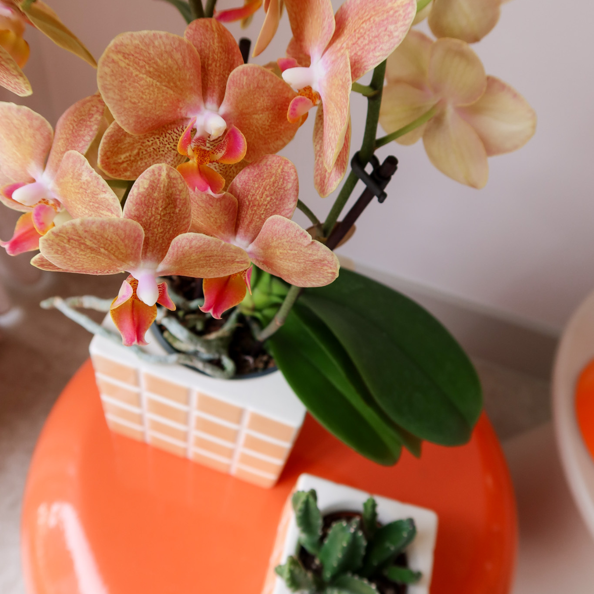 Ziertopf Mosa – Orange – Ø9cm – Glänzend