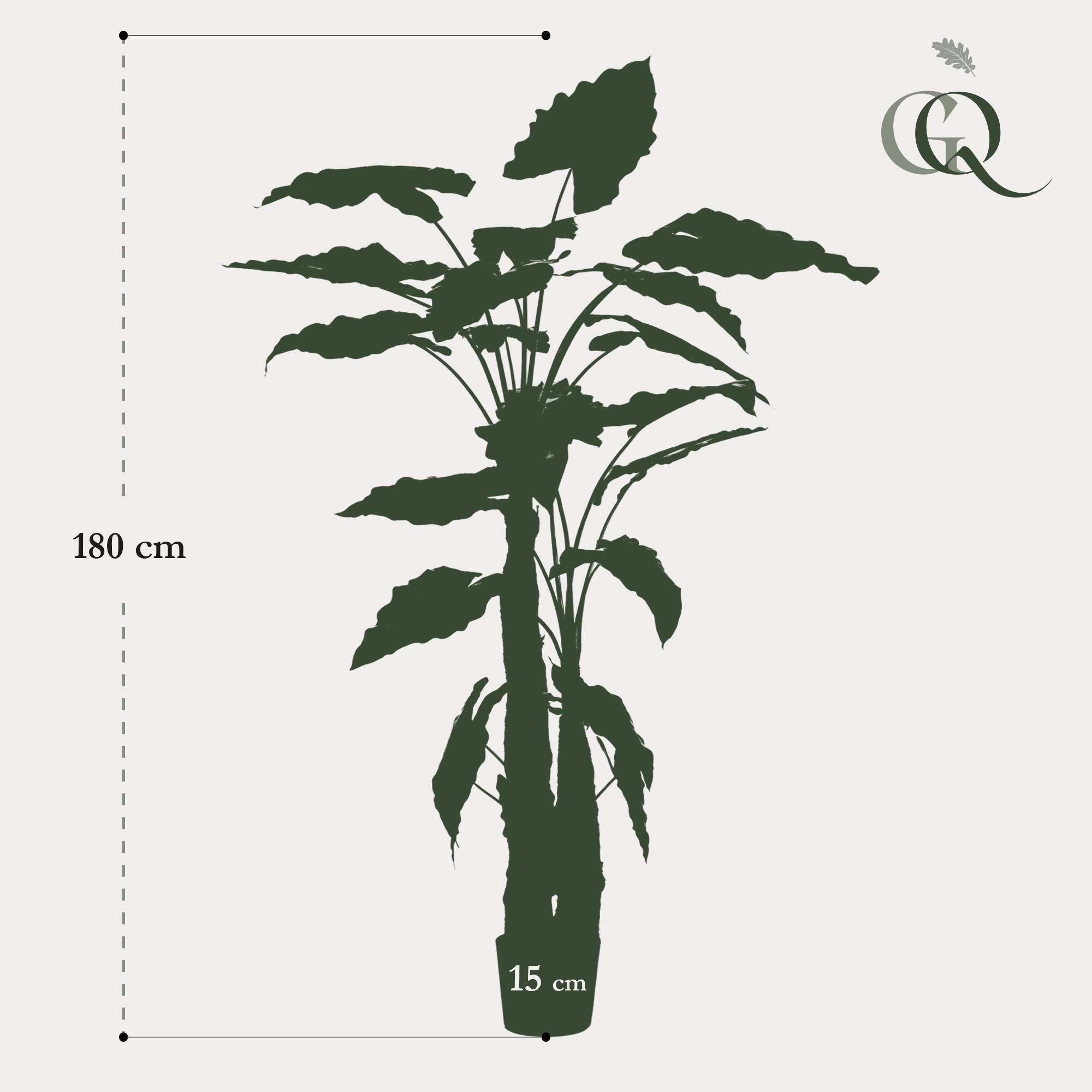 Kunst-Alocasia Pflanze 180 cm