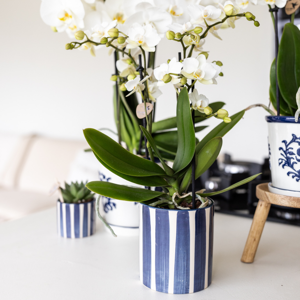 Kolibri Home | Blumentopf – Blau – Ø9cm