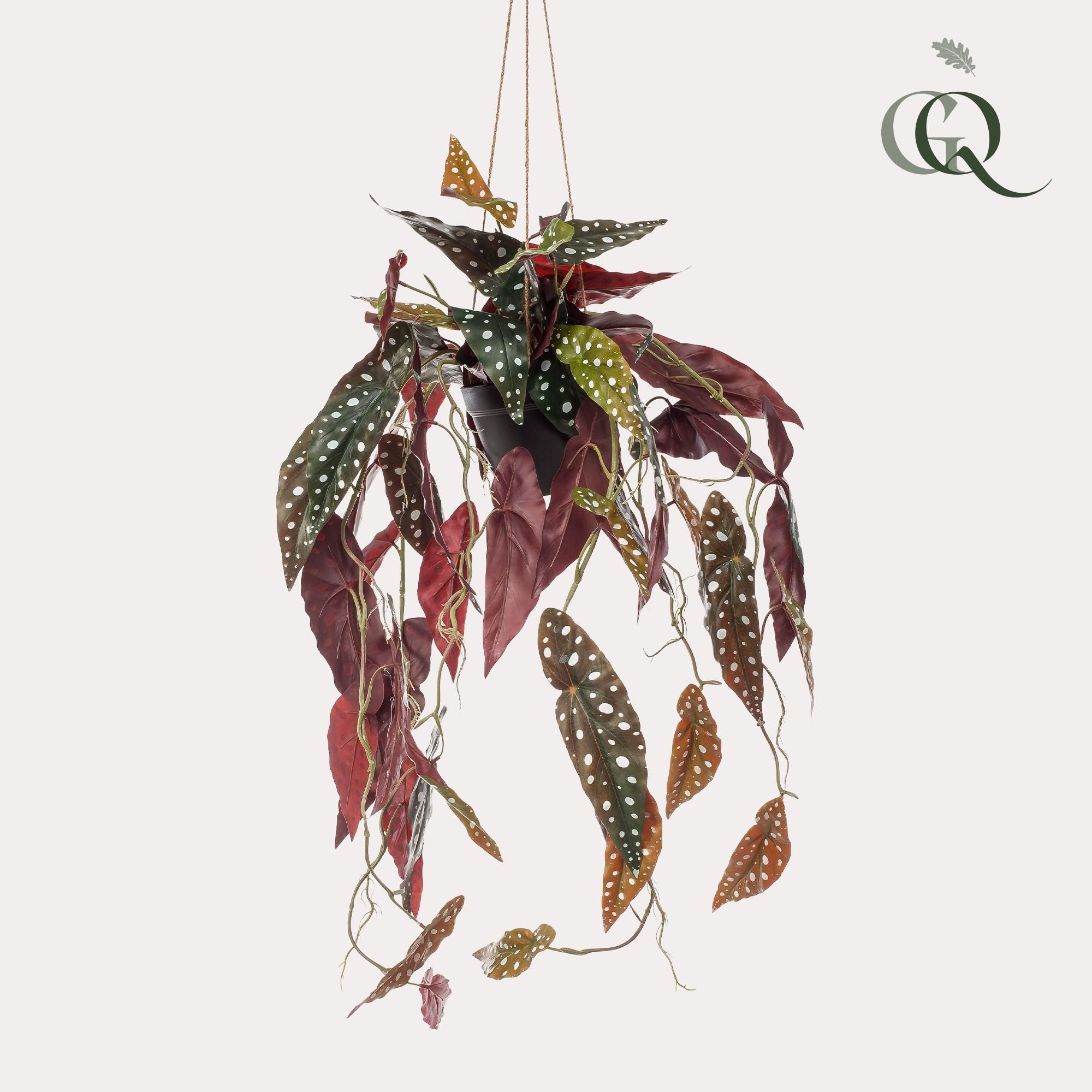 Kunstpflanze Begonia Maculata Forellenbegonie