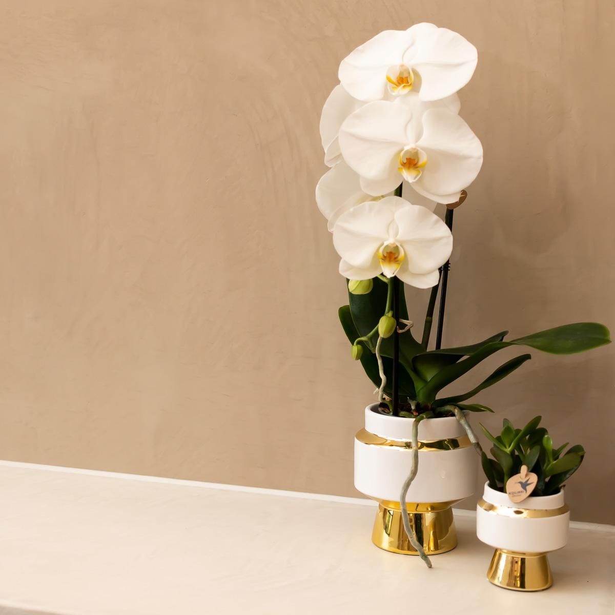 Le Chic Keramik Blumentopf mit goldenen Details