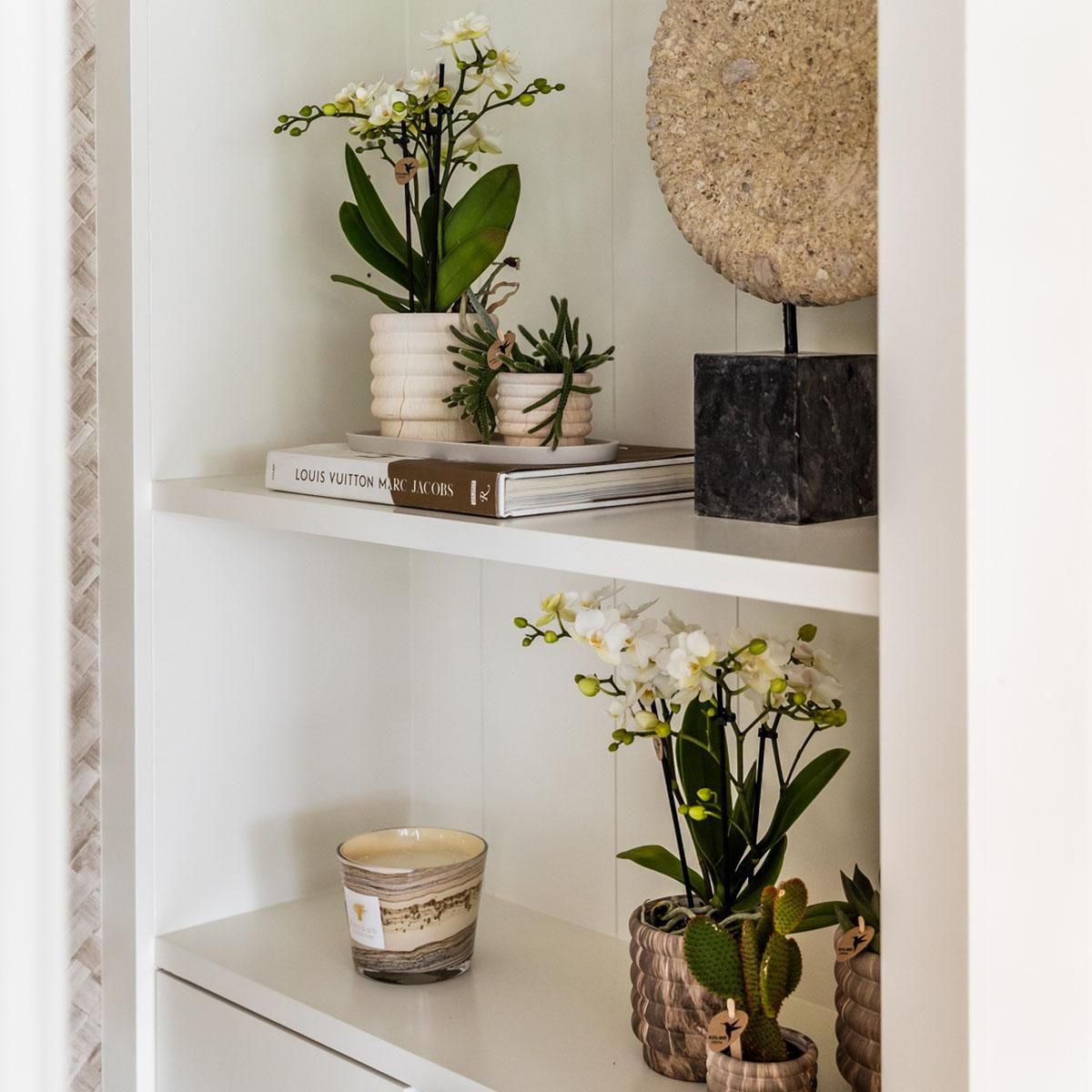 Marmor-Topf – Light – Ø6cm