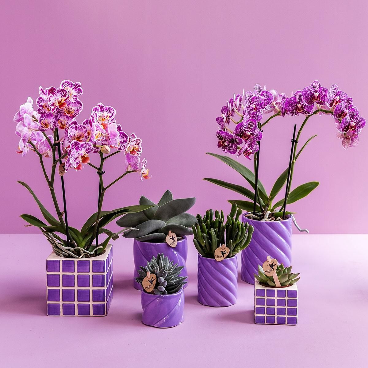 Candy Dekotopf Lilac Keramik rund