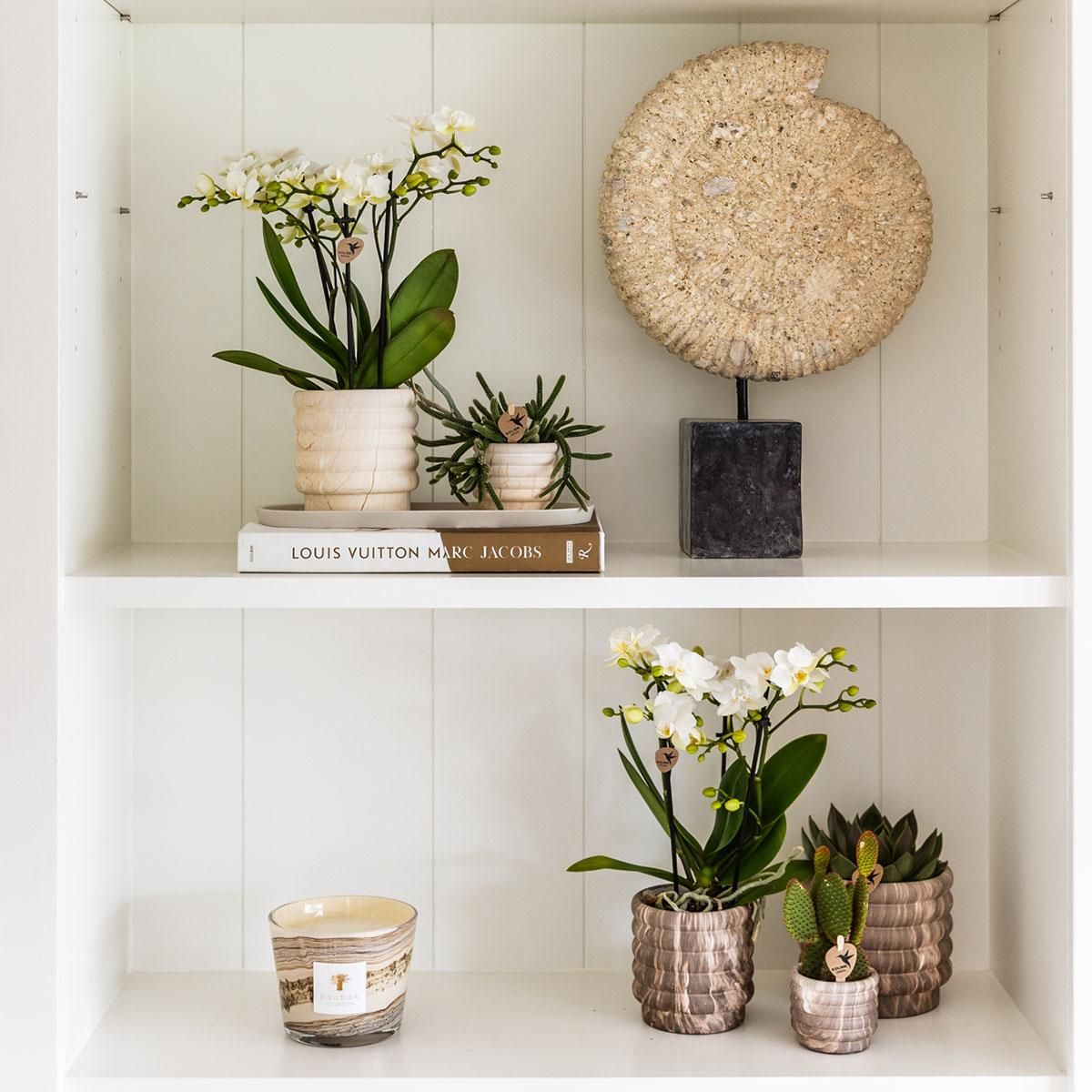 Marmor-Topf – Light – Ø6cm