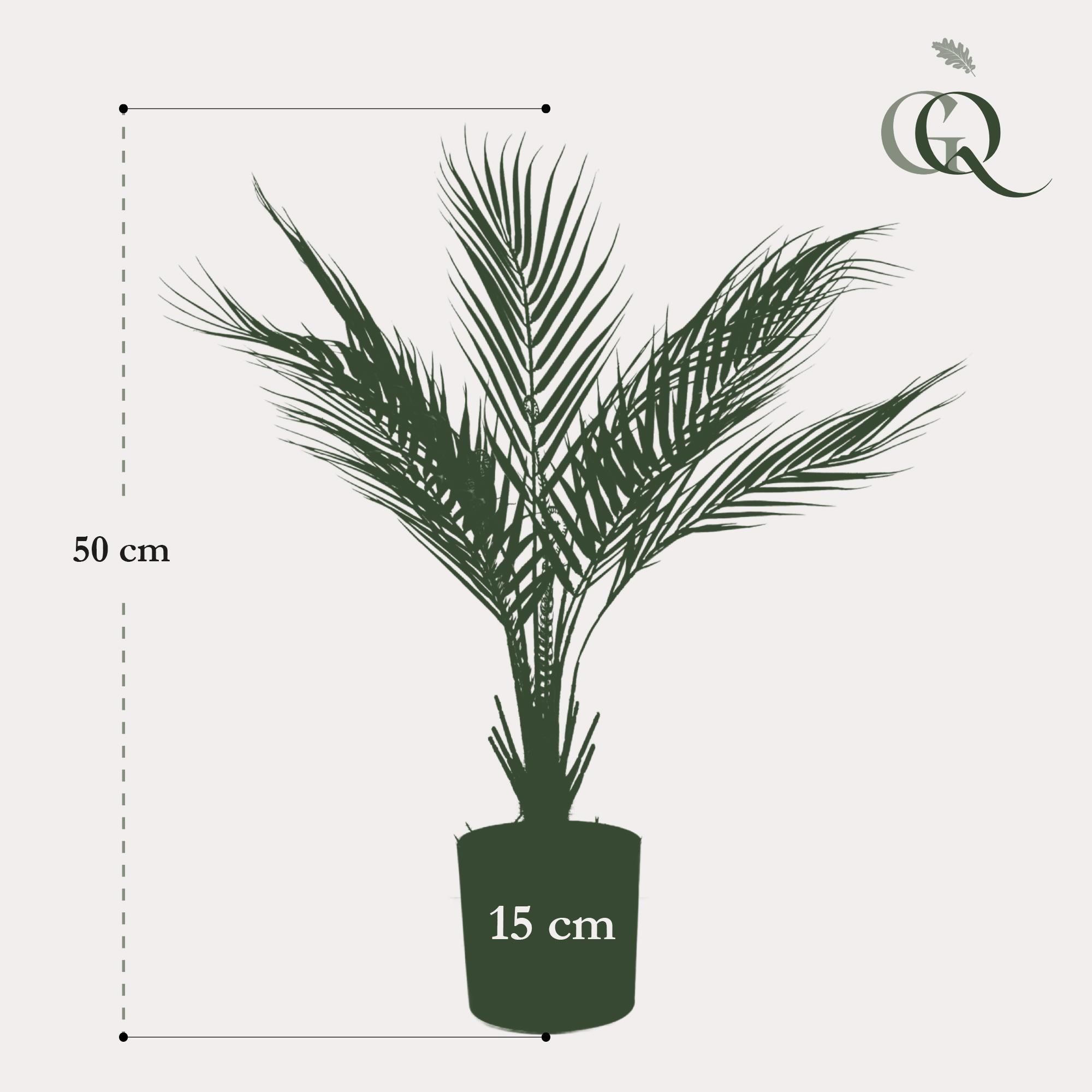 Kunstpflanze Chamaedorea Elegans Bergpalme 50 cm