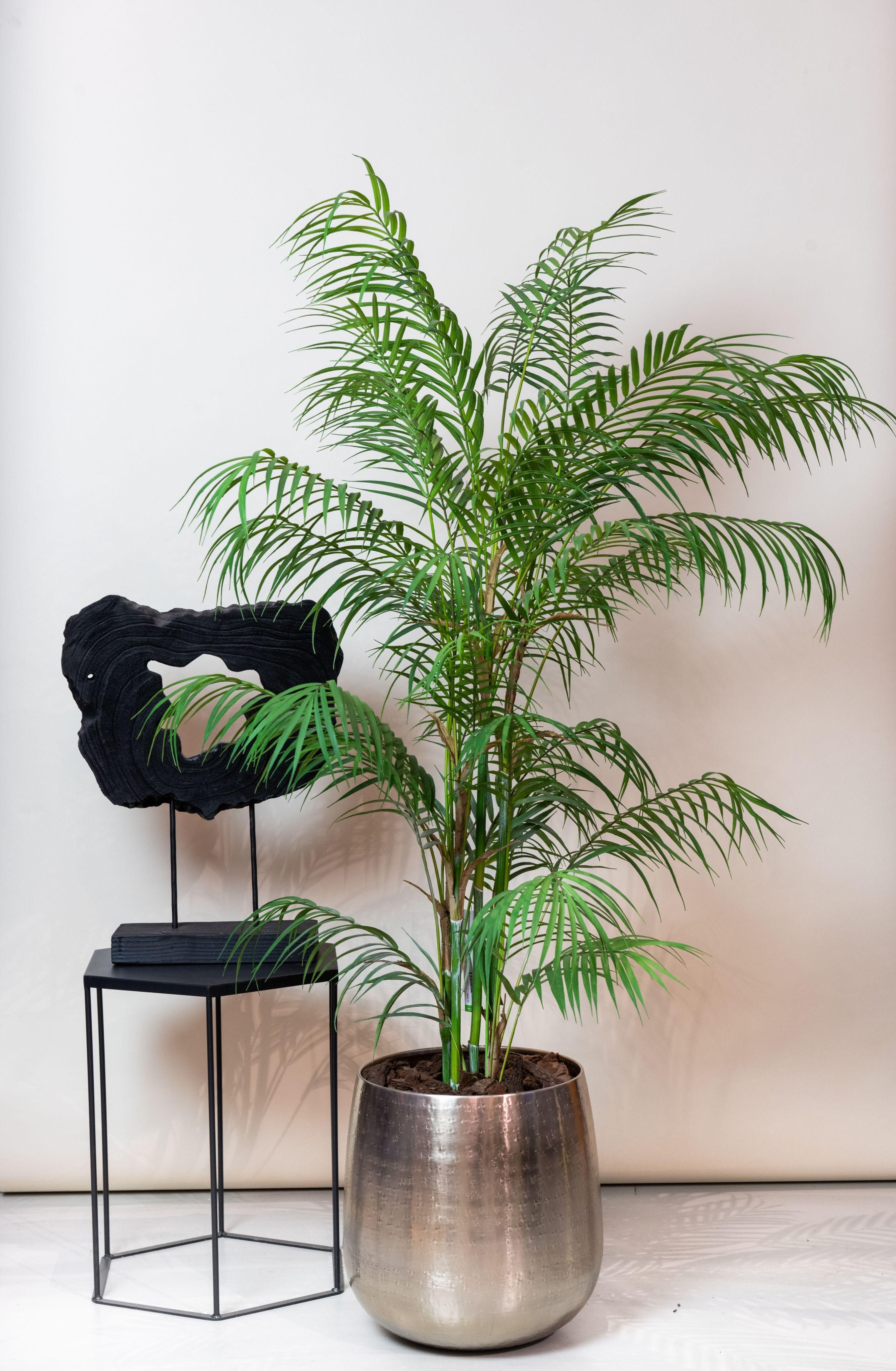 Kunstpflanze Bergpalme Chamaedorea Elegans