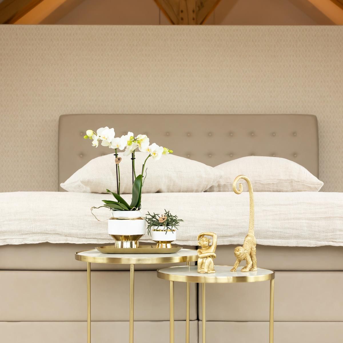 Le Chic Keramik Blumentopf mit goldenen Details