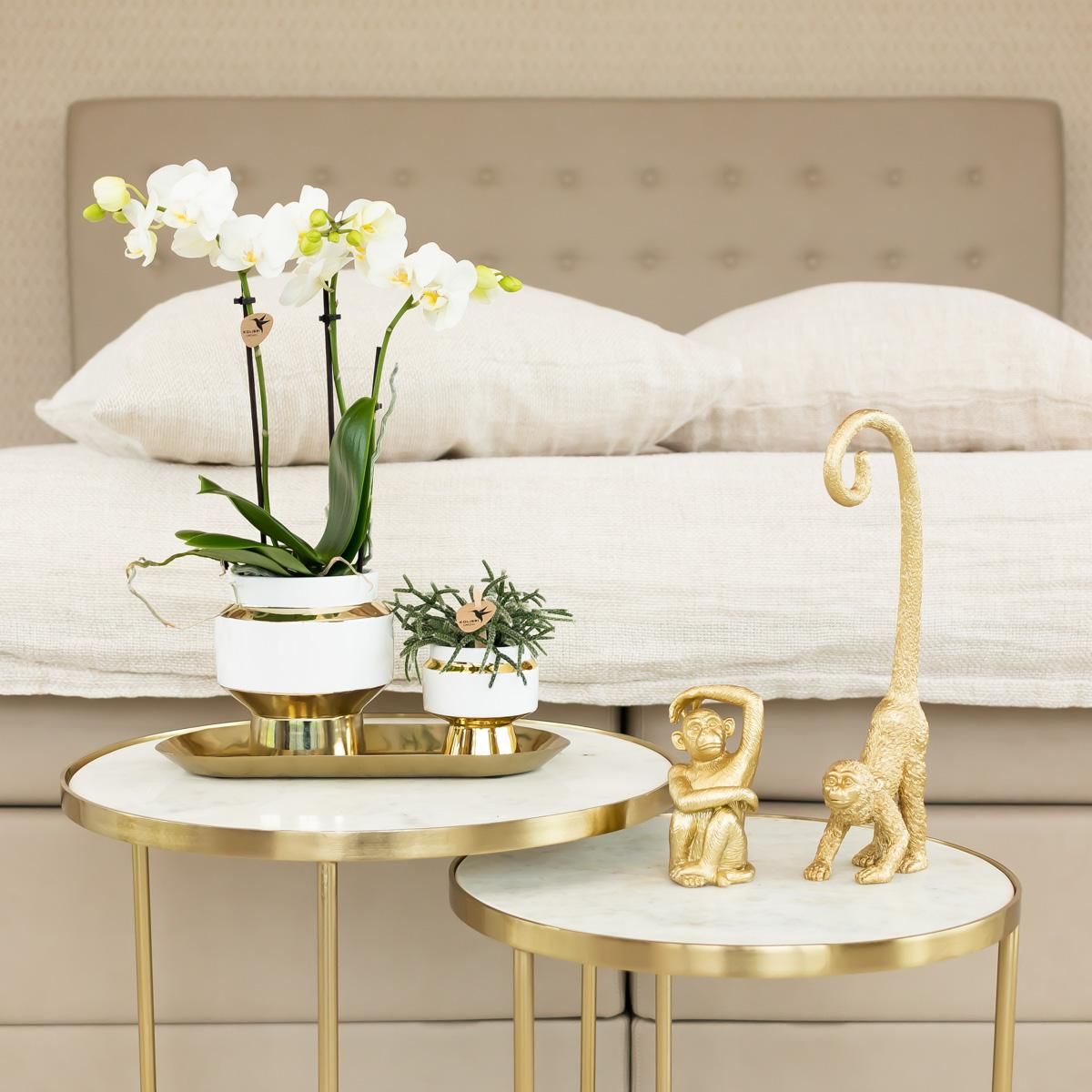 Le Chic weißer Keramik Blumentopf mit goldenen Details