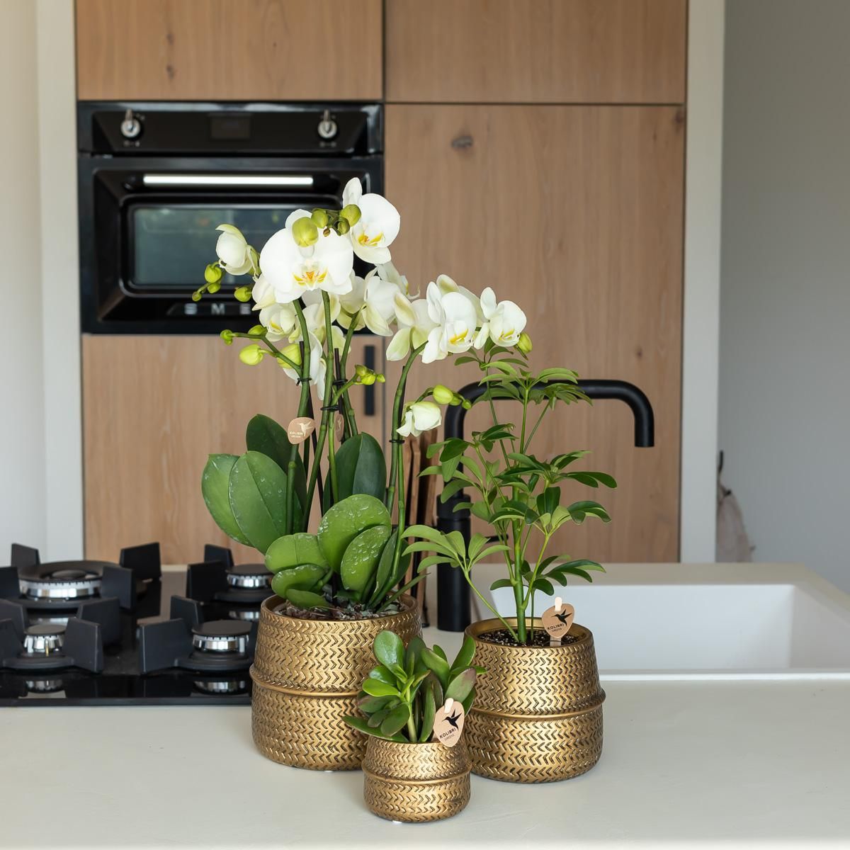 Groove Blumentopf aus Keramik in Gold