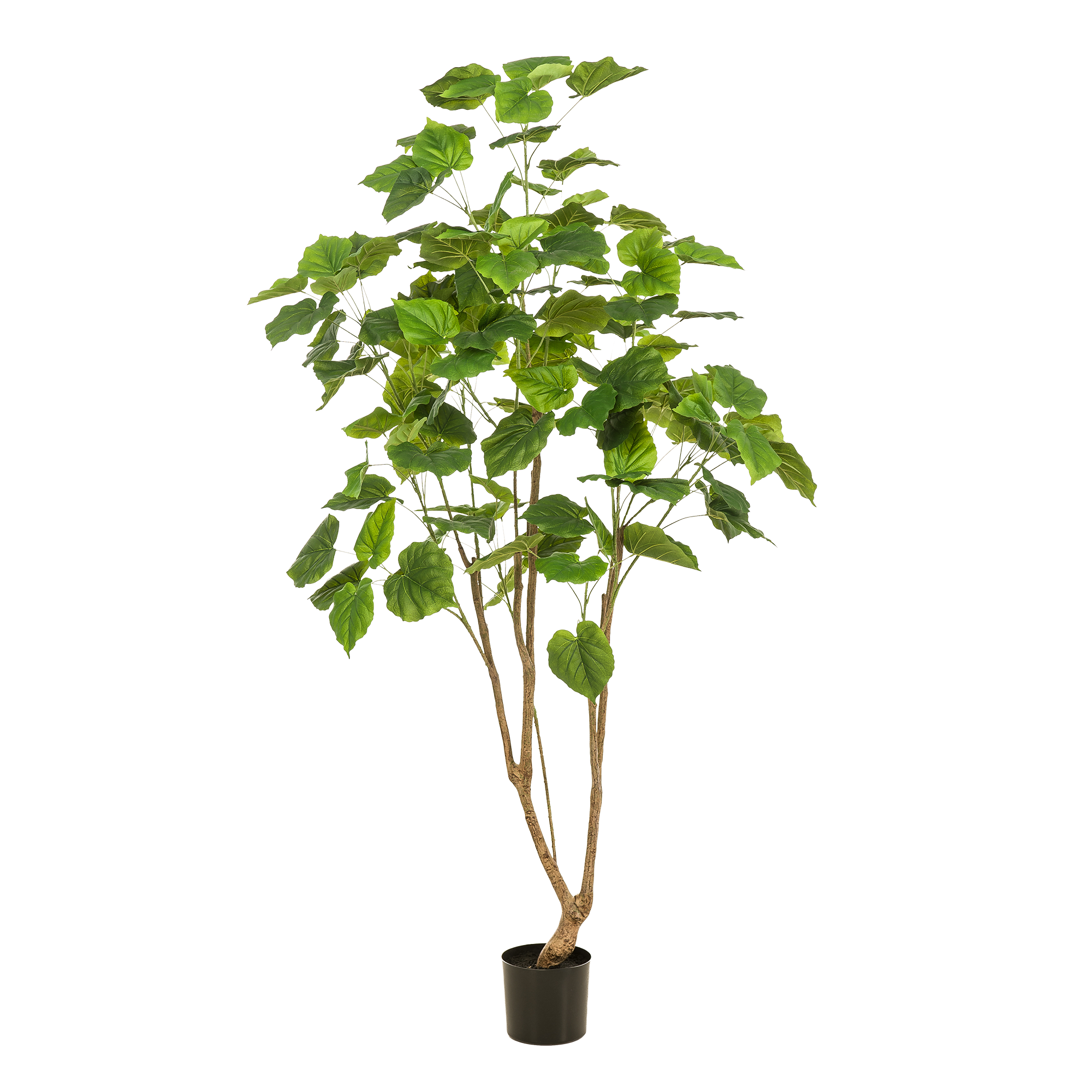 Ficus Umbellata Kunstpflanze