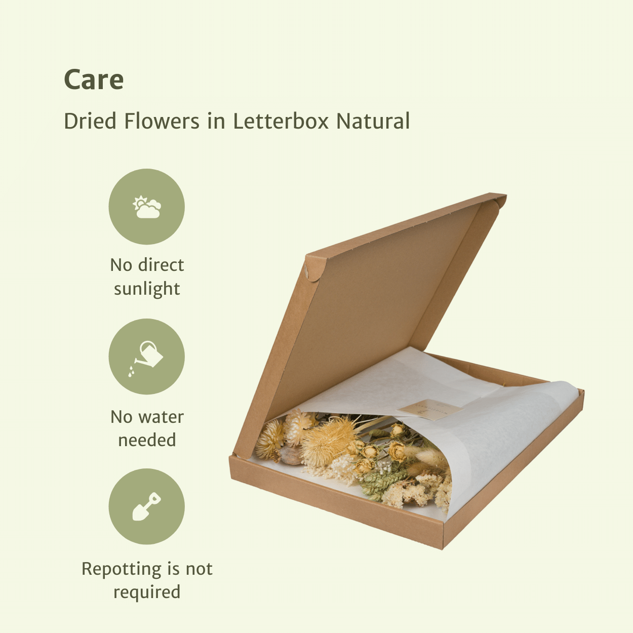 Elegante Trockenblumen im Letterbox-Set Natural
