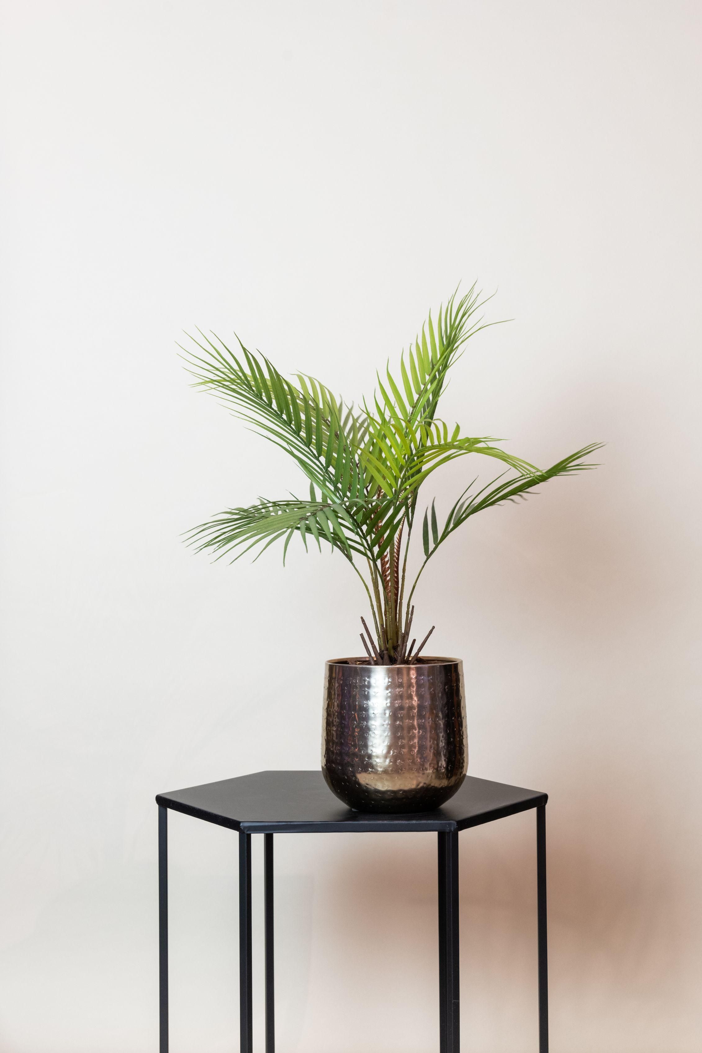 Kunstpflanze Chamaedorea Elegans Bergpalme 50 cm