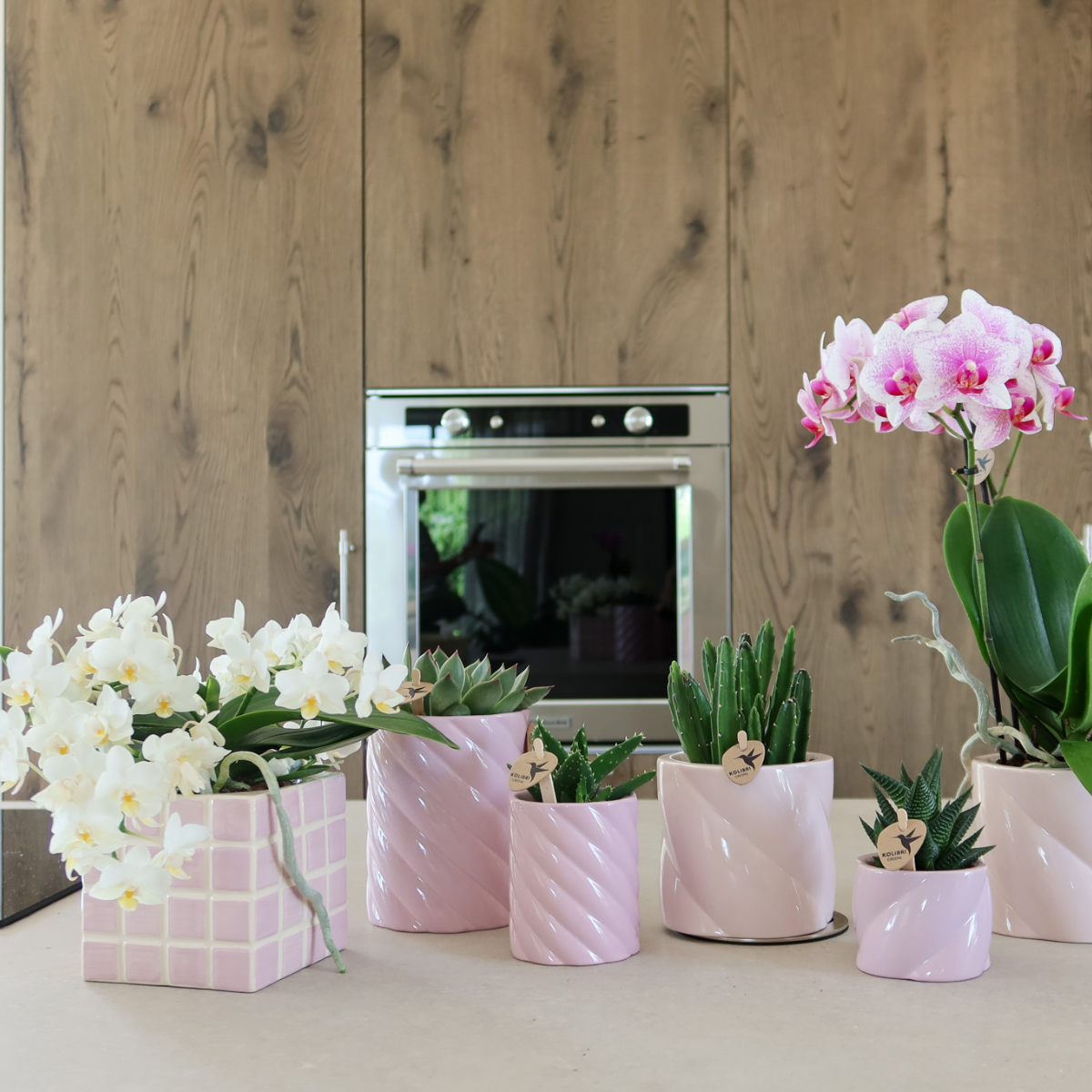 Ziertopf – Pink – Ø 9 cm