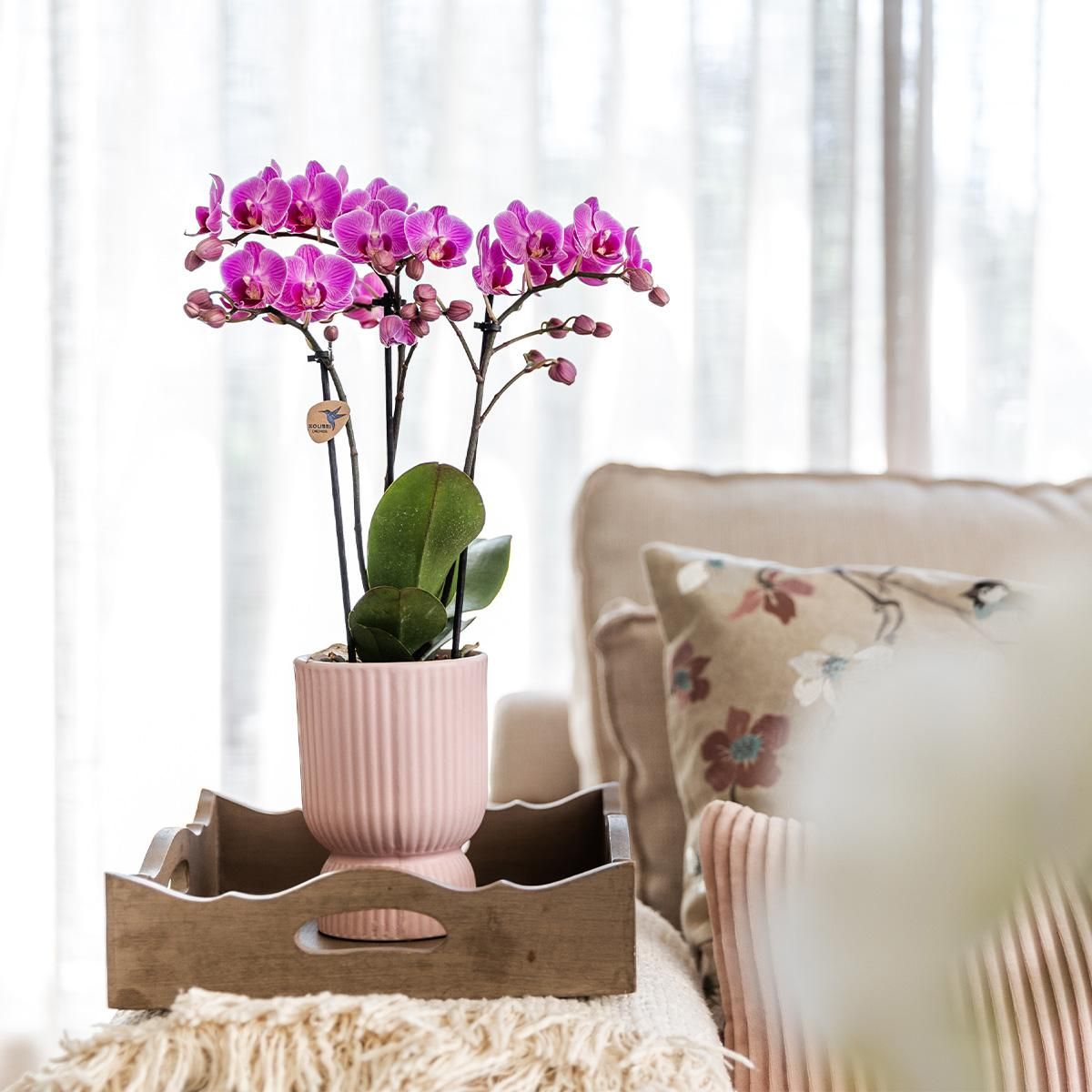 Diabolo Blumentopf Pink Ø12cm