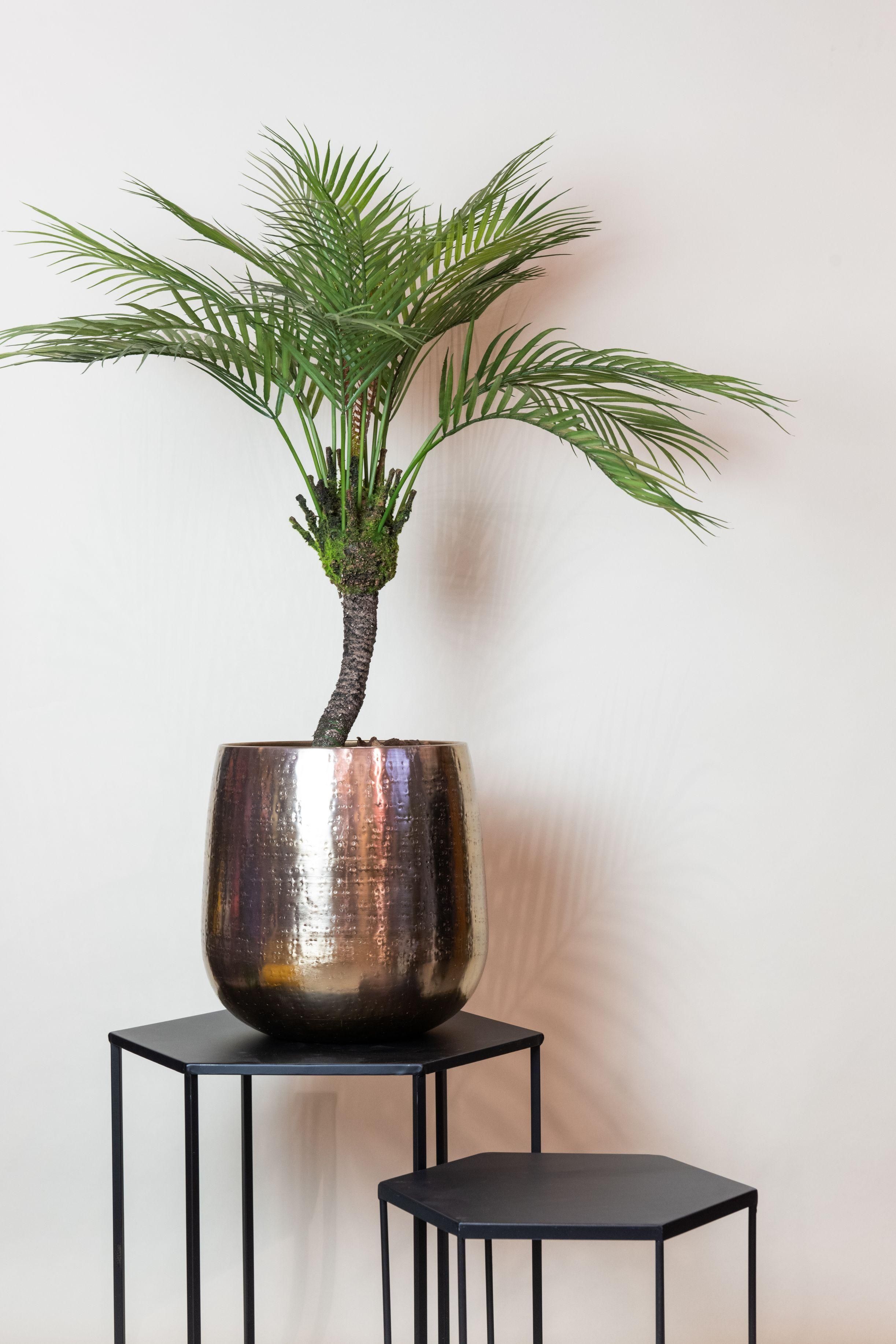 Kunstpflanze Chamaedorea Elegans Bergpalme