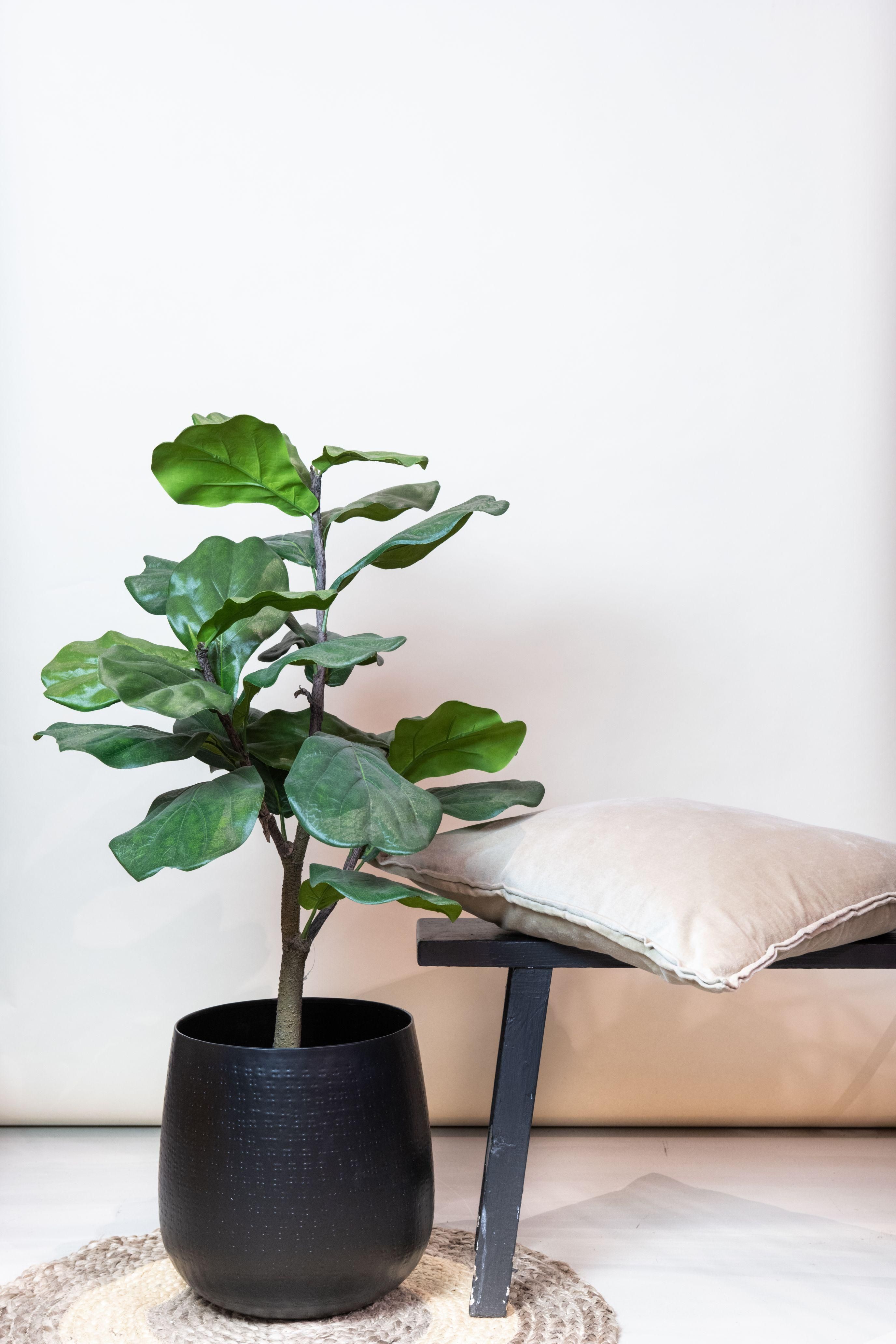 Kunstpflanze Ficus Lyrata Tabakspflanze