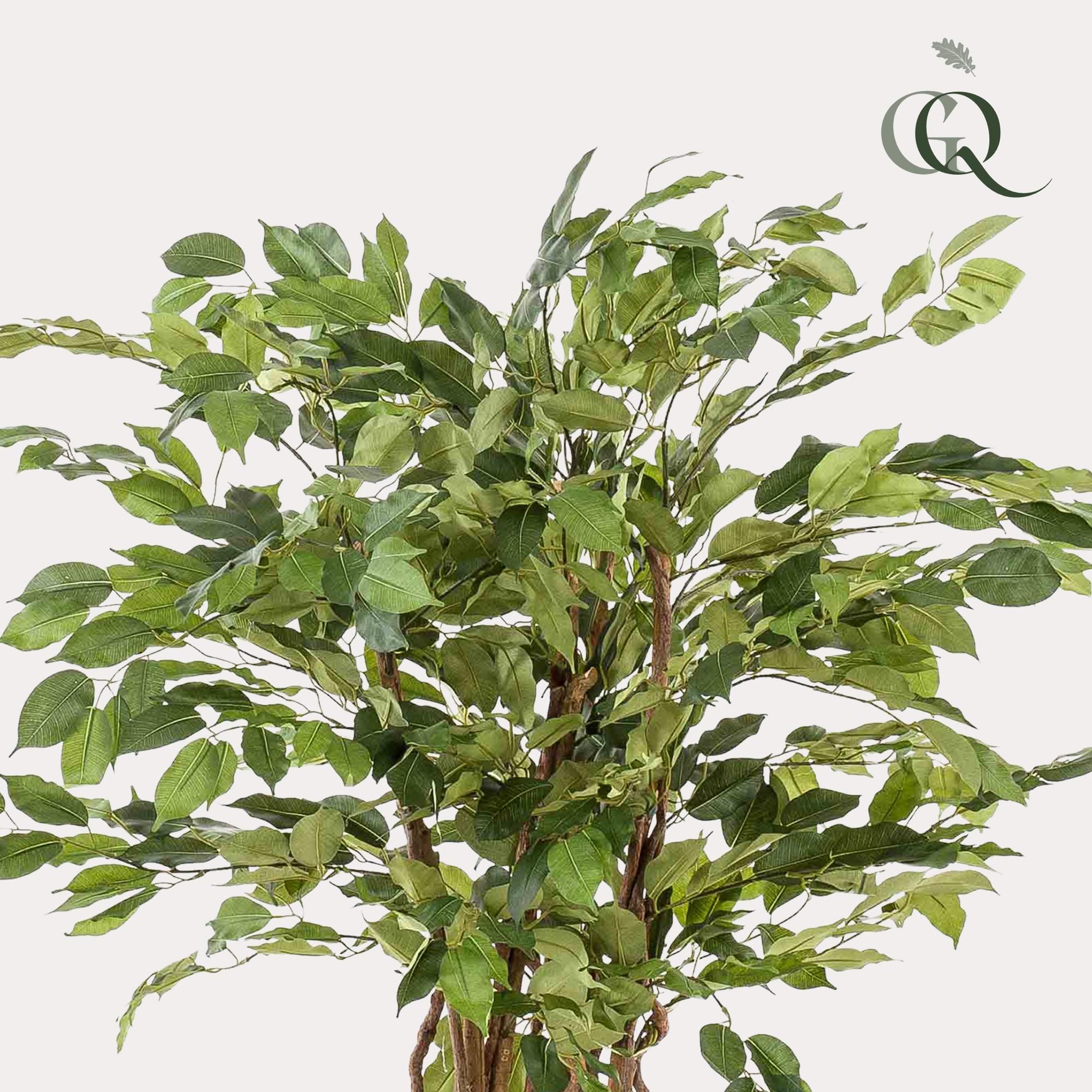 Kunstpflanze Ficus Liana – Vioolblatt – 140cm