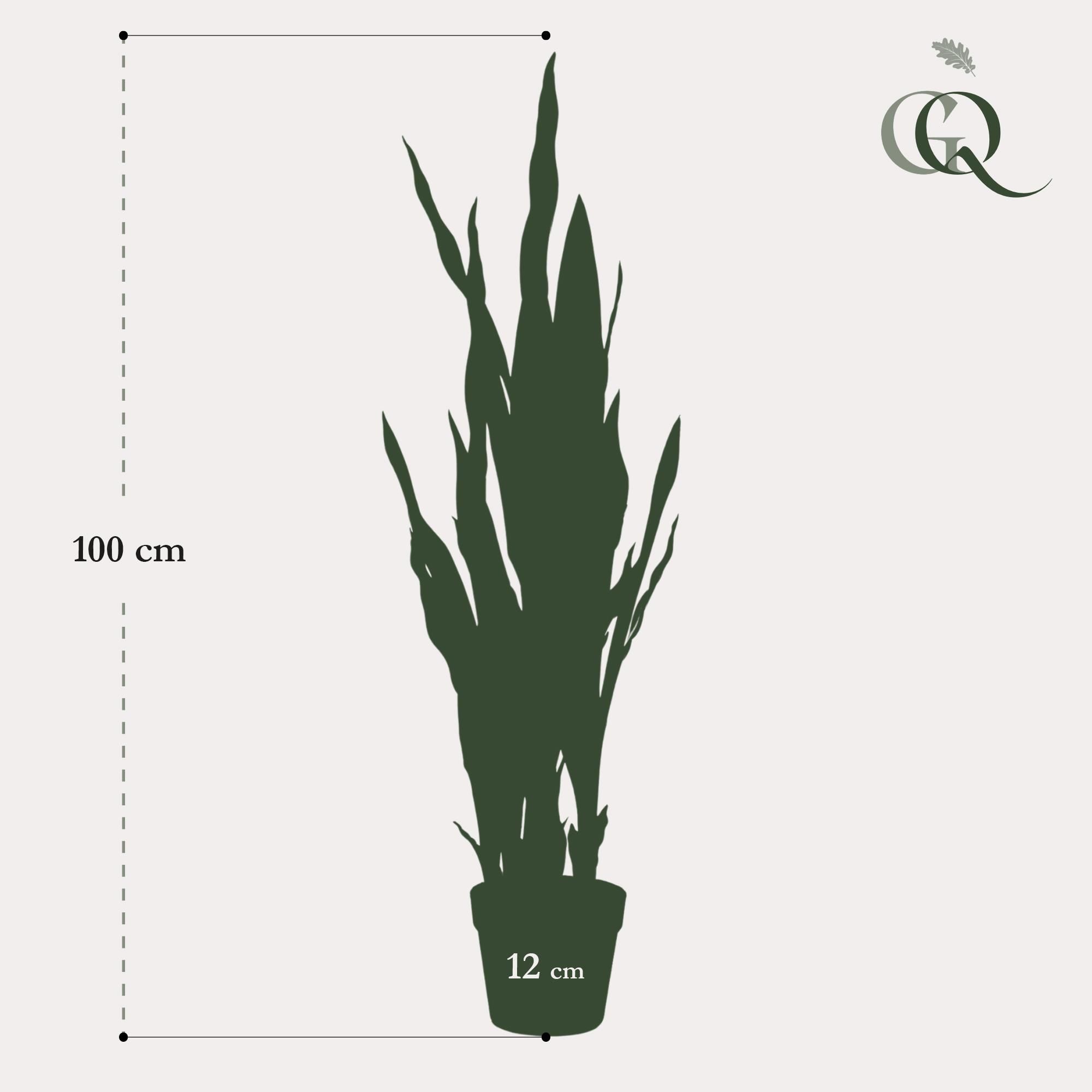 Kunstpflanze Sansevieria Black Coral Vrouwentong