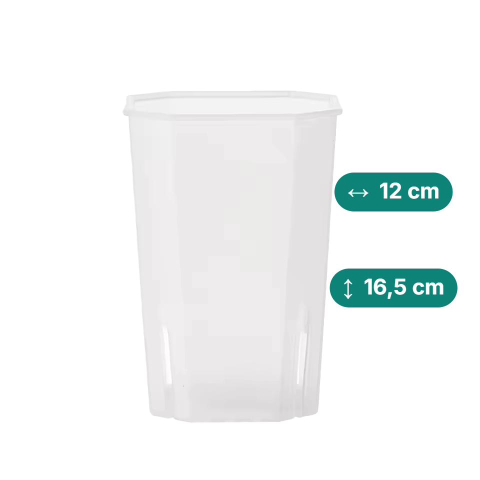 Eckige & hohe Aroid Töpfe – Platzsparend & Transparent (Topfdurchmesser in cm:12, Höhe in cm:16,5)