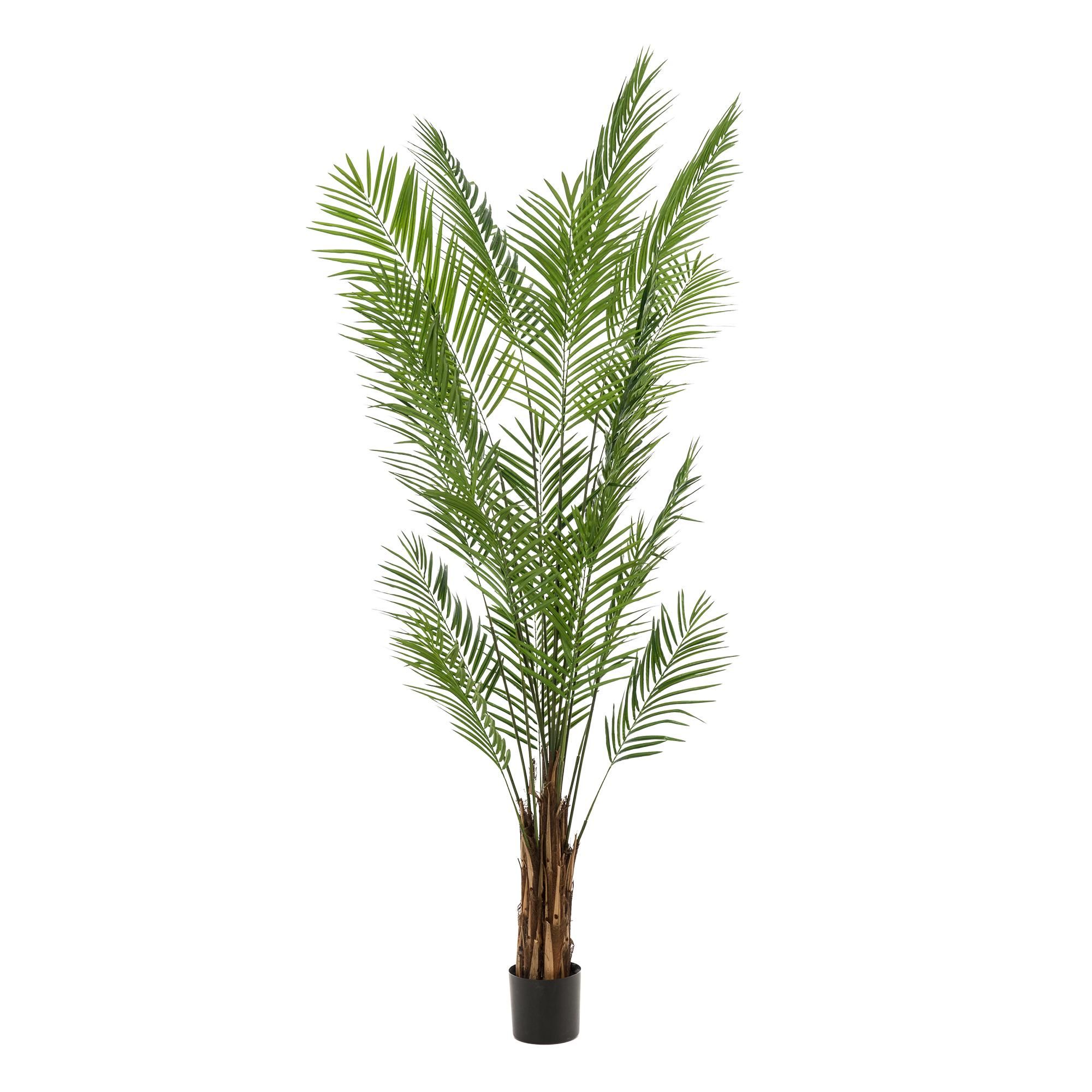 Kunstpalme Areca Lutescens – Goldene Palme – 240cm