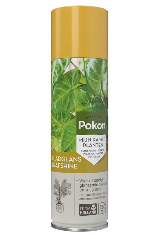 Blattglanz Pflanzenspray