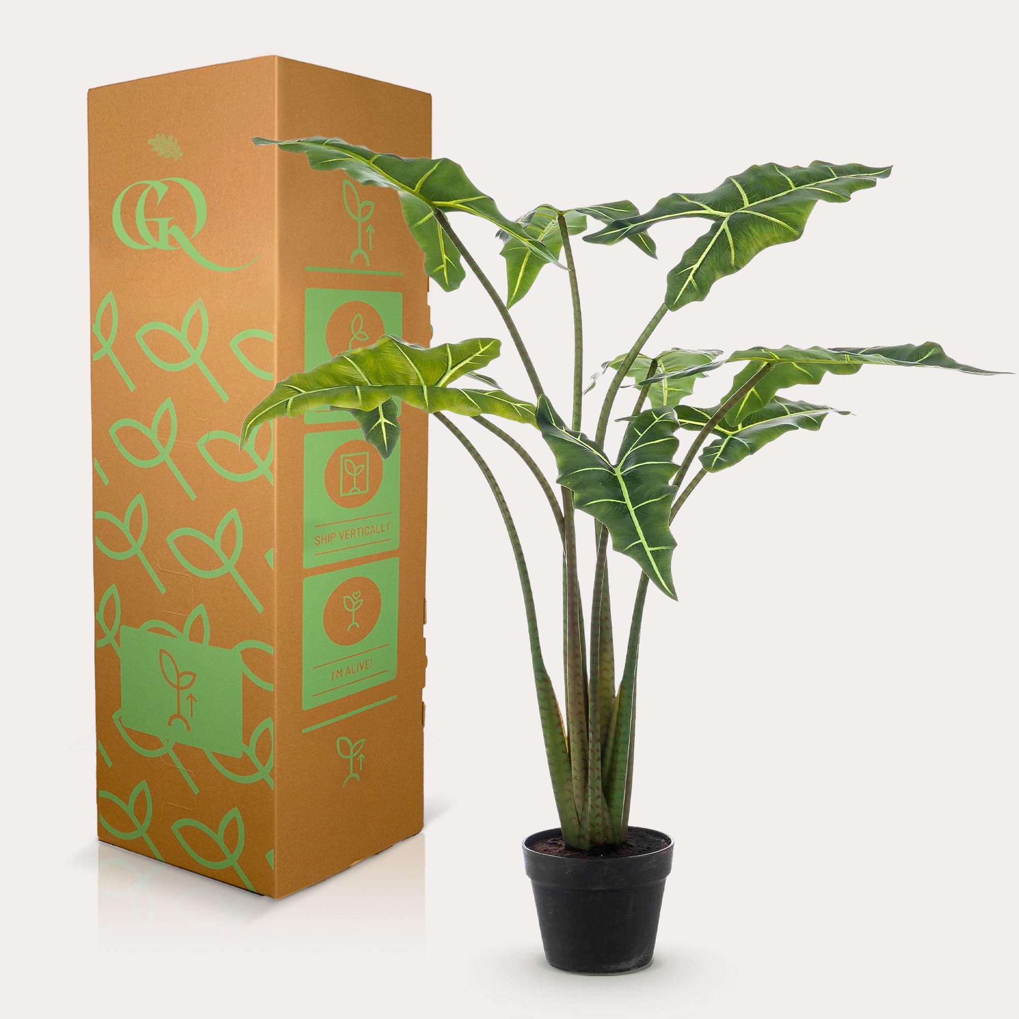 Kunstpflanze Alocasia Frydek Olifantsoor