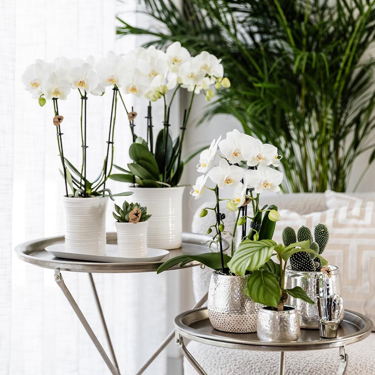 Keramik Blumentopf Elite Silber