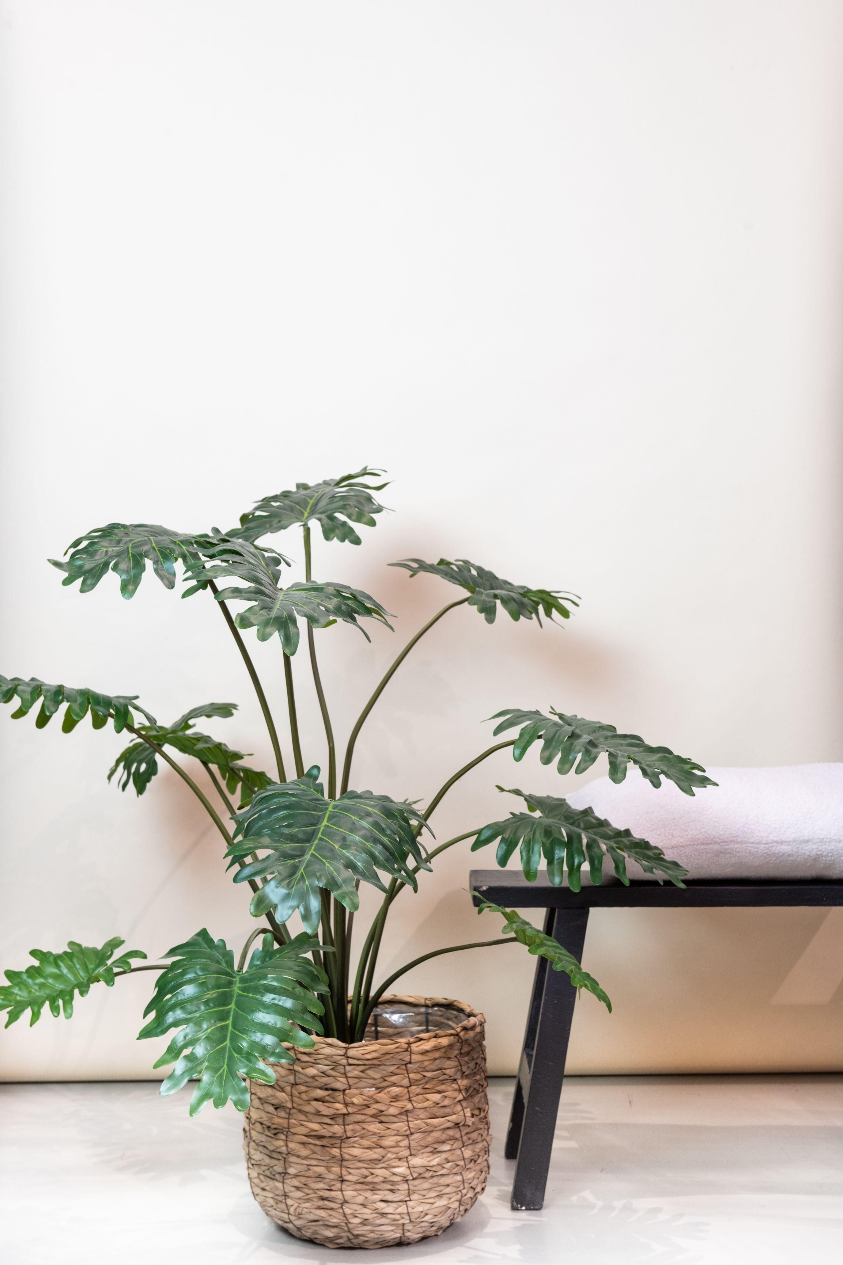 Philodendron Kunstpflanze für Wohn- und Bürodekoration