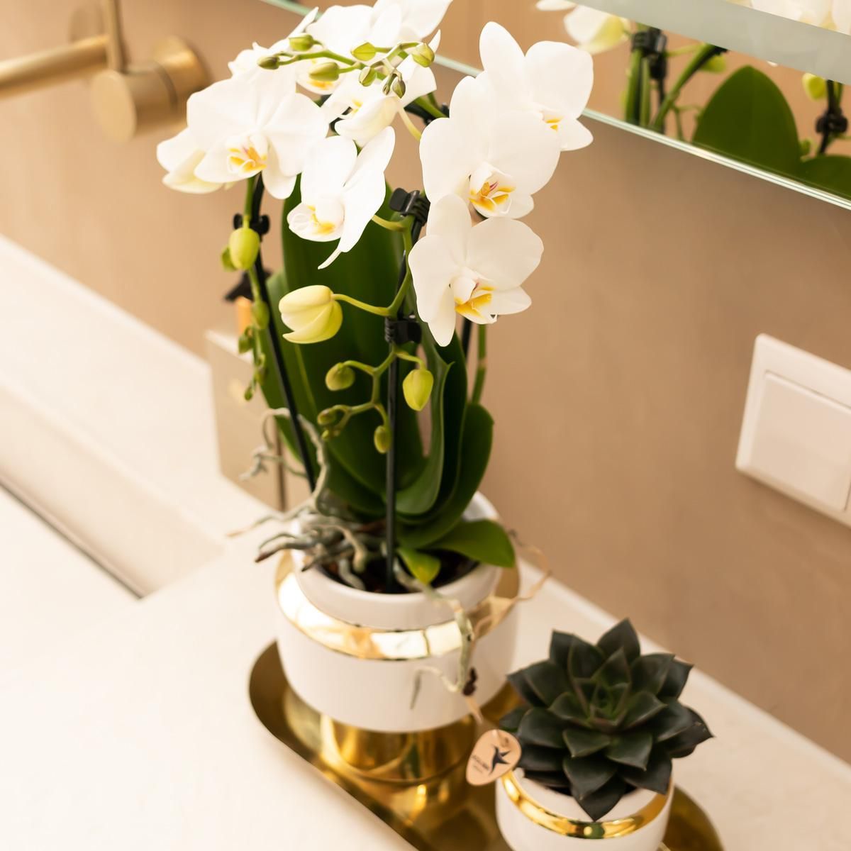 Le Chic Keramik Blumentopf mit goldenen Details