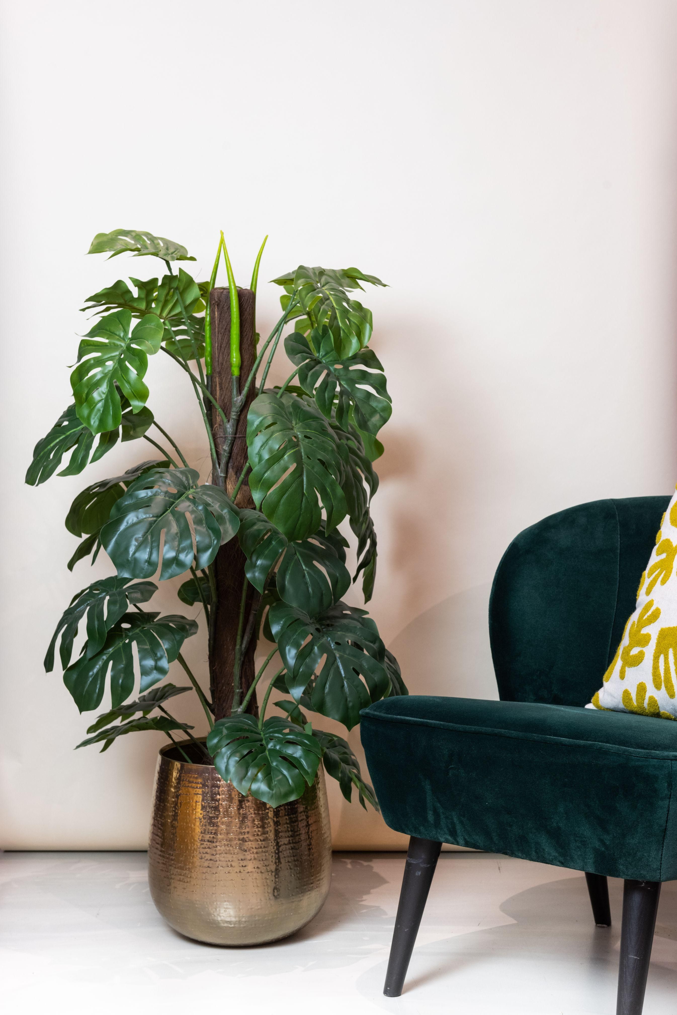Monstera Deliciosa Kunstpflanze