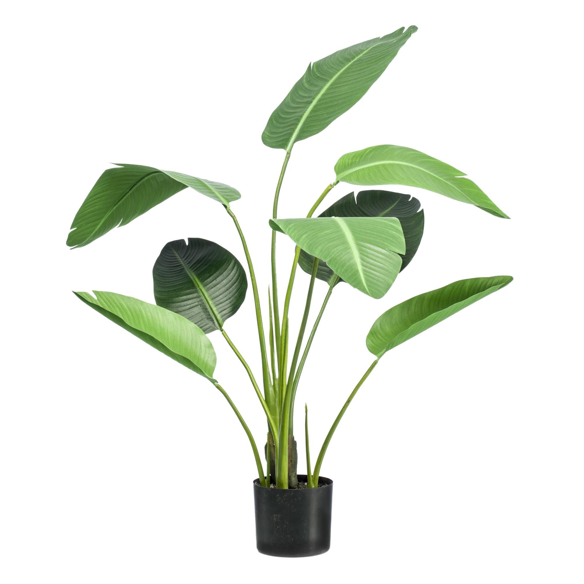 Kunst Strelitzia nicolai | Paradiesvogelblume | 120cm