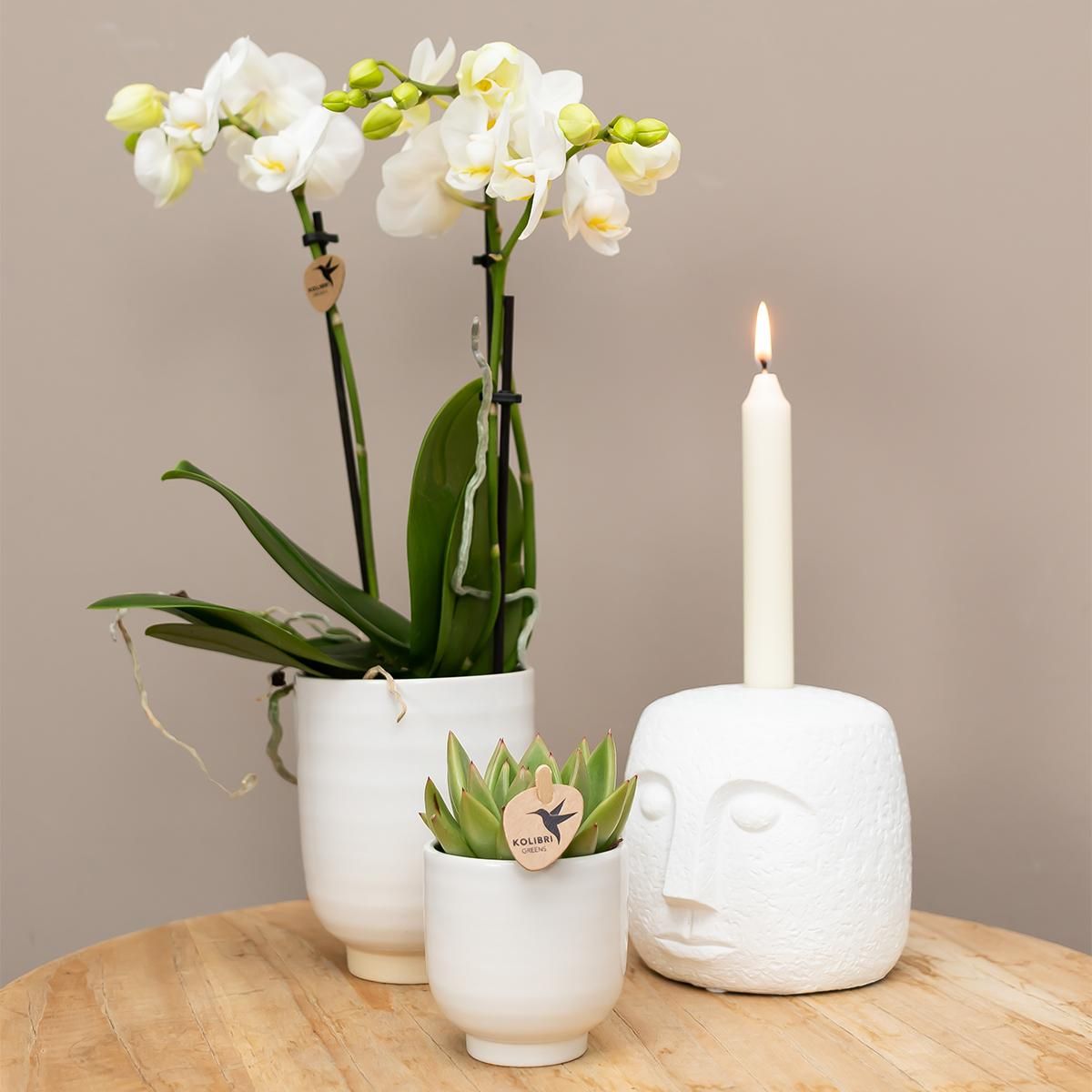Glänzender Keramik Blumentopf Weiß