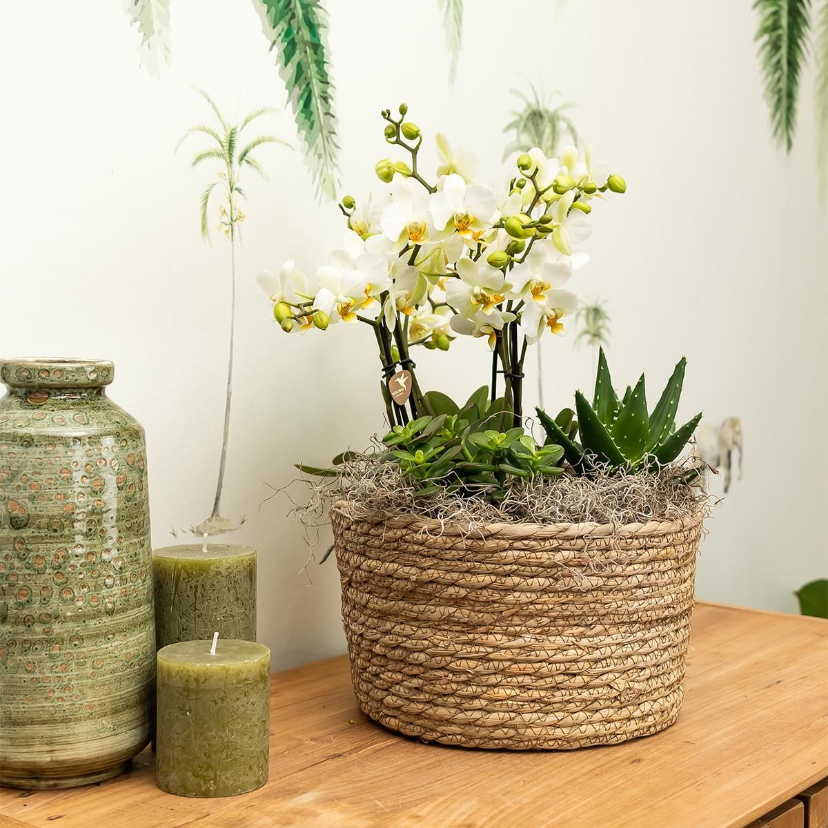 Geflochtener Weidenkorb Dekorative Blumenschale