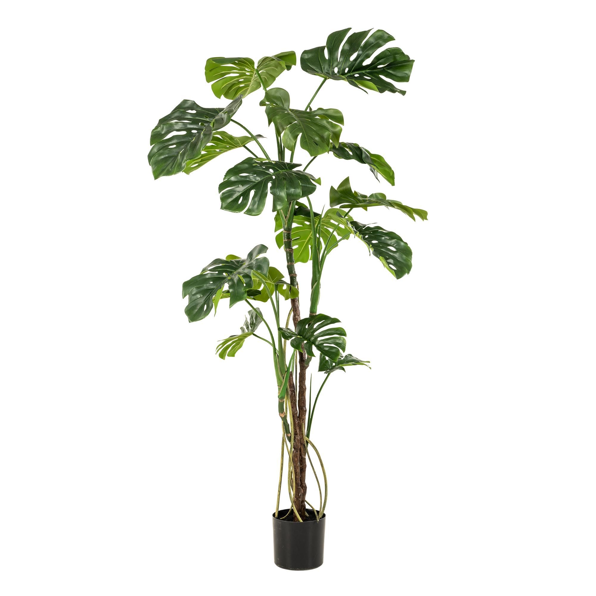 Kunstpflanze Monstera – 180cm – Ideal als Gartenpflanze