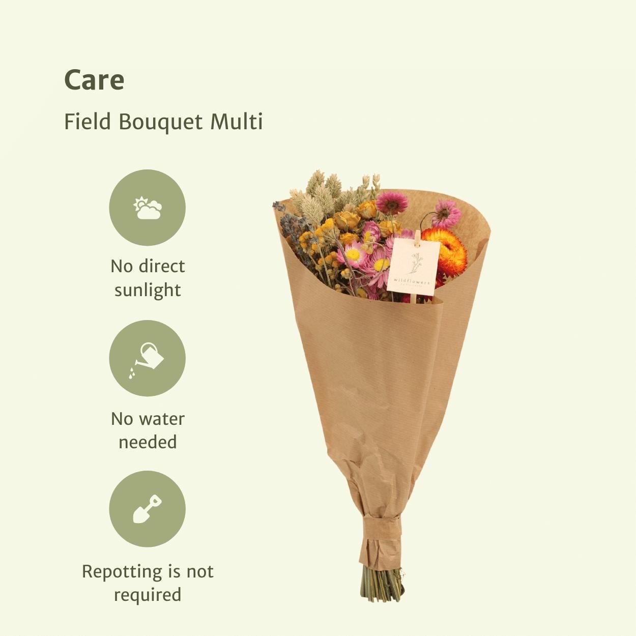 Bunter Trockenstrauß Field Bouquet Multi