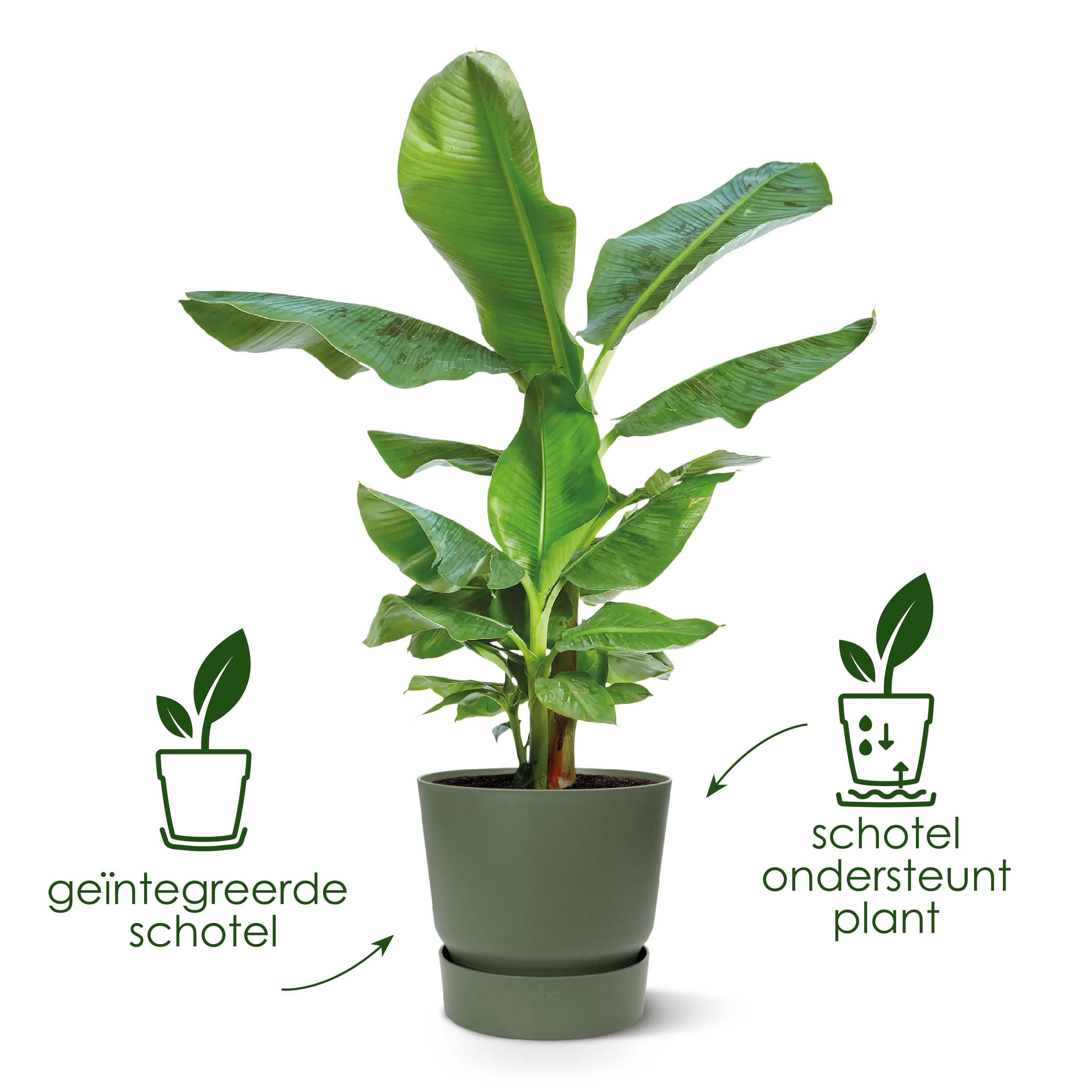 Stylischer Pflanzenübertopf Greenville rund