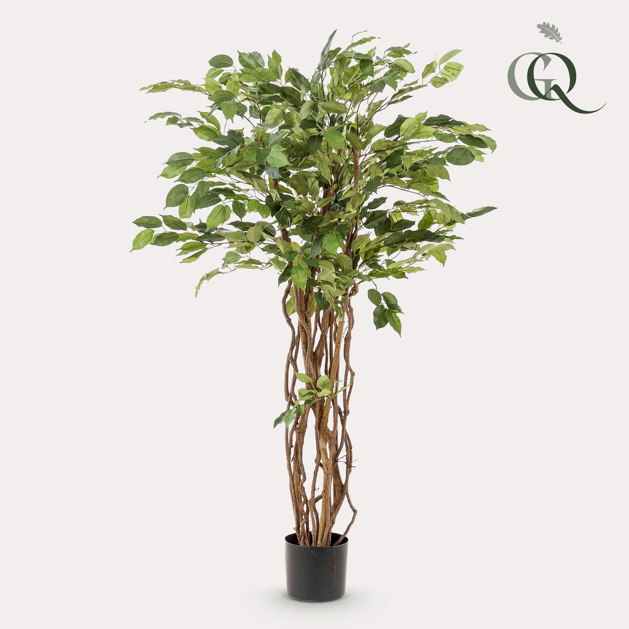 Kunstpflanze Ficus Liana – Vioolblatt – 140cm