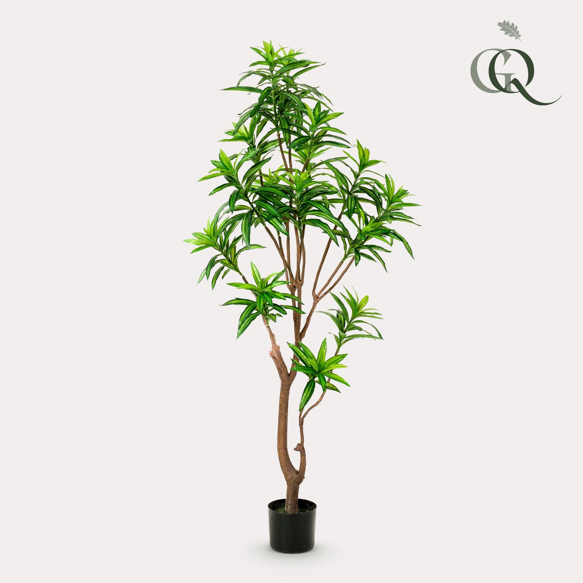 Künstlicher Dracaena Drachenbaum mit natürlichen Blättern