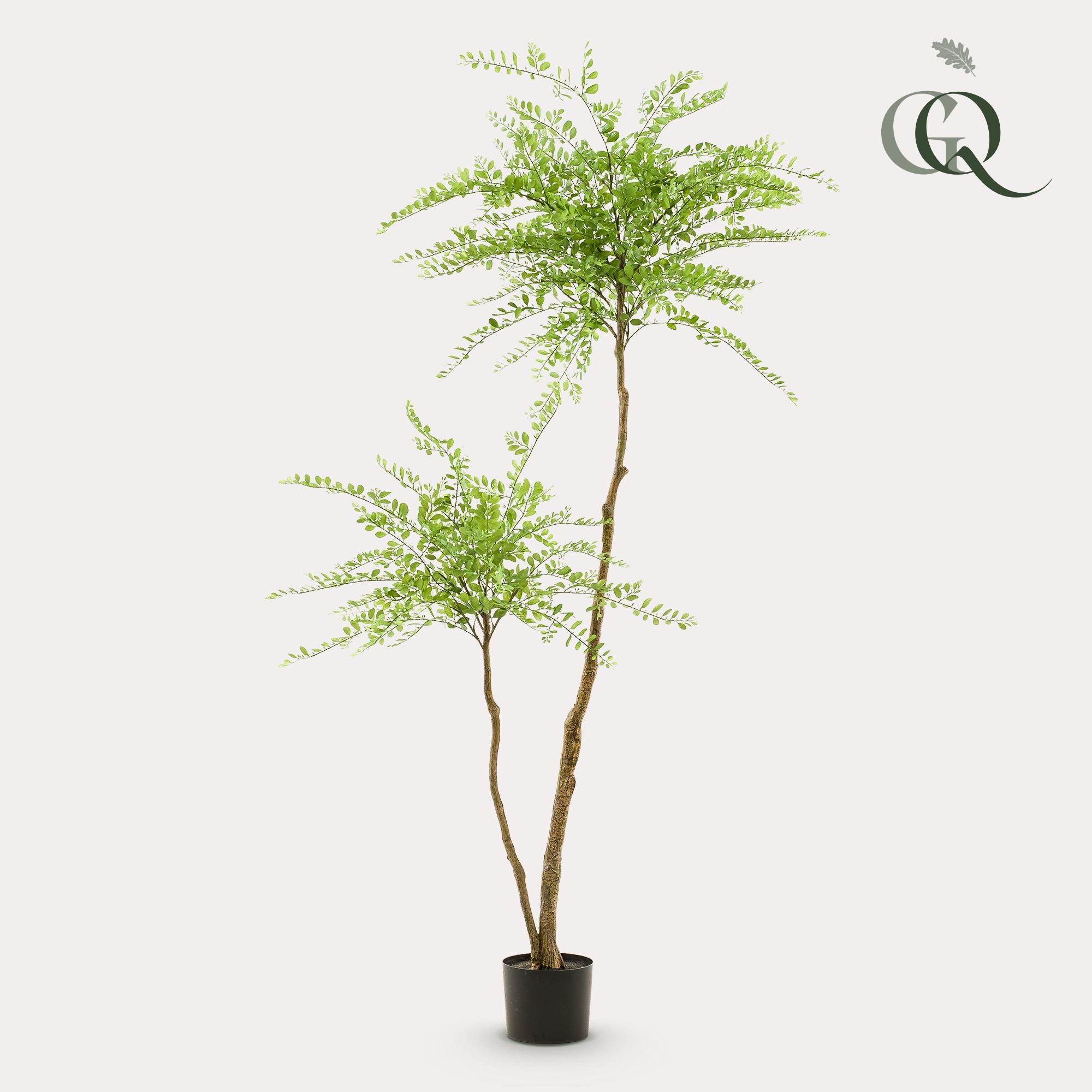 Sophora Baum Kunstpflanze 190cm – Hohe Qualität